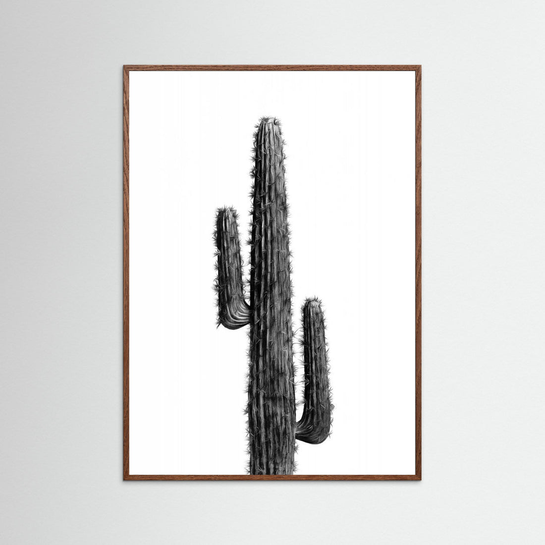 Cactus Black and White 01 by Amini54