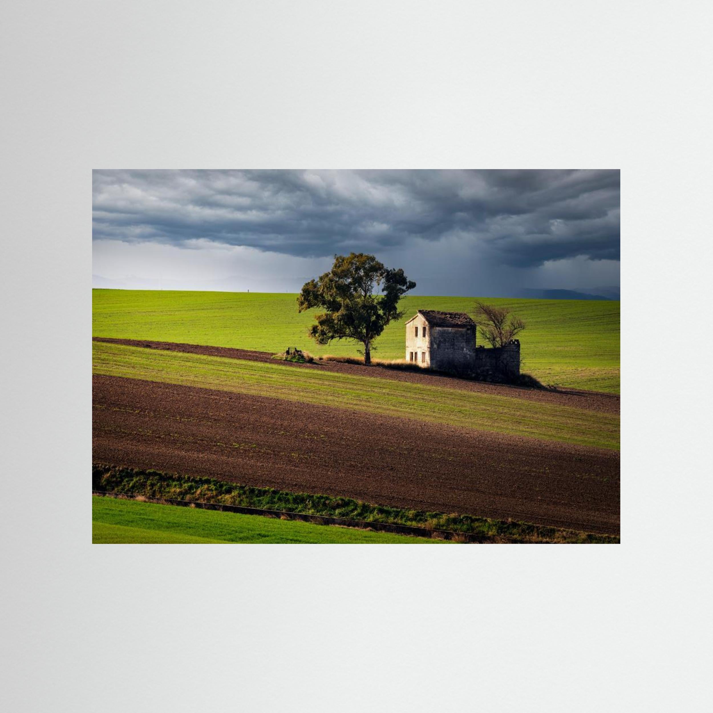 Nature by Luigi Greco