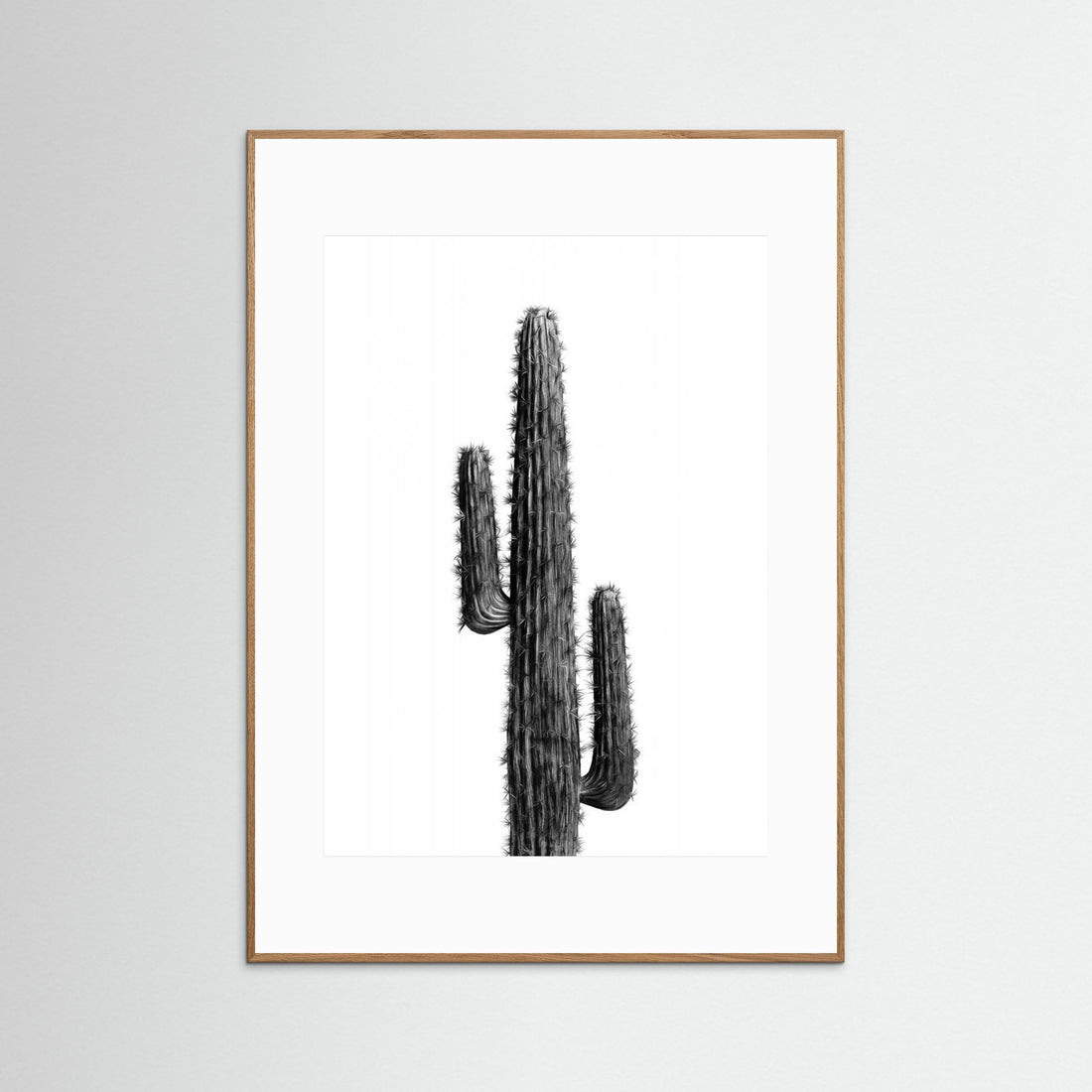 Cactus Black and White 01 by Amini54