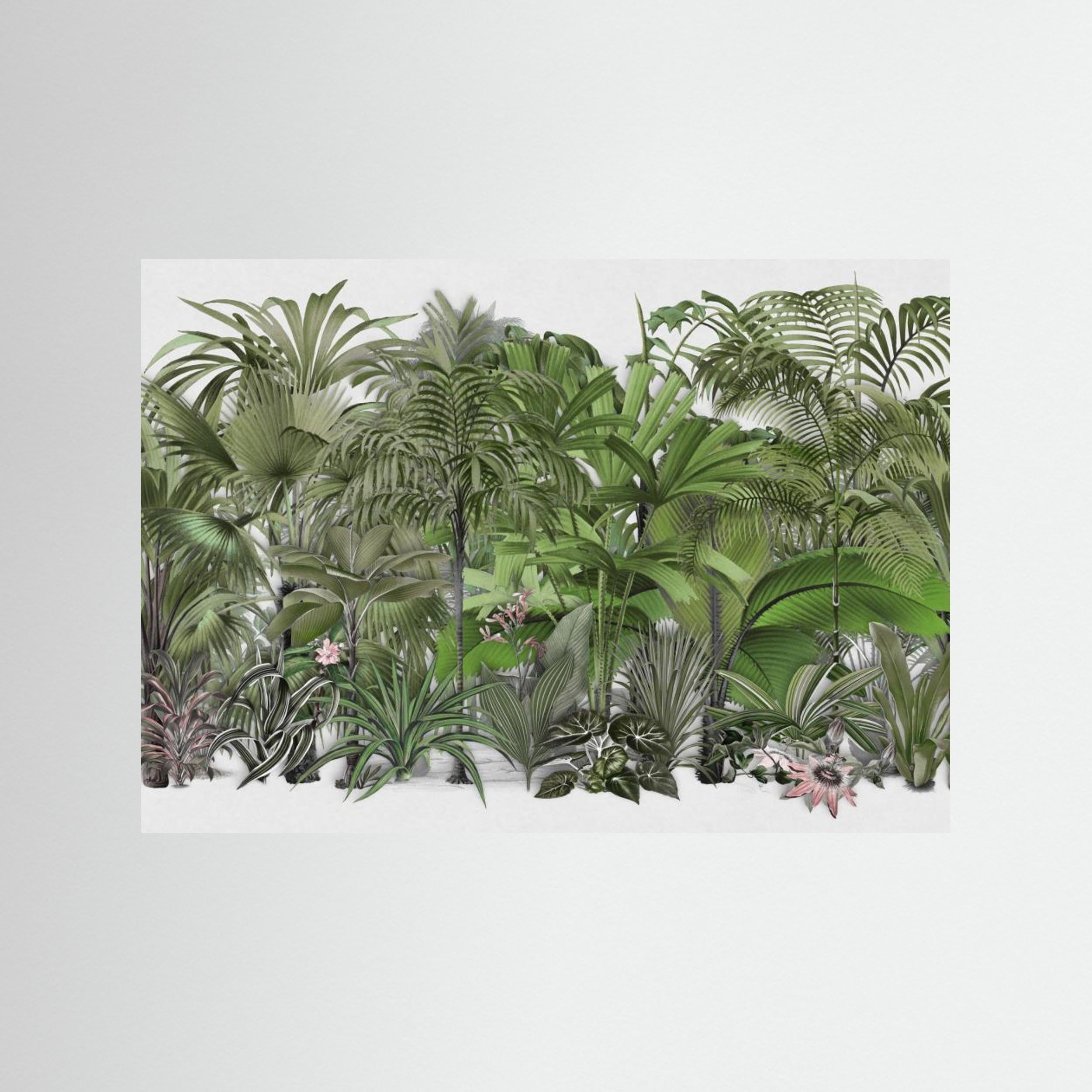 Exotic Wildlife 003 1 by Andrea Haase