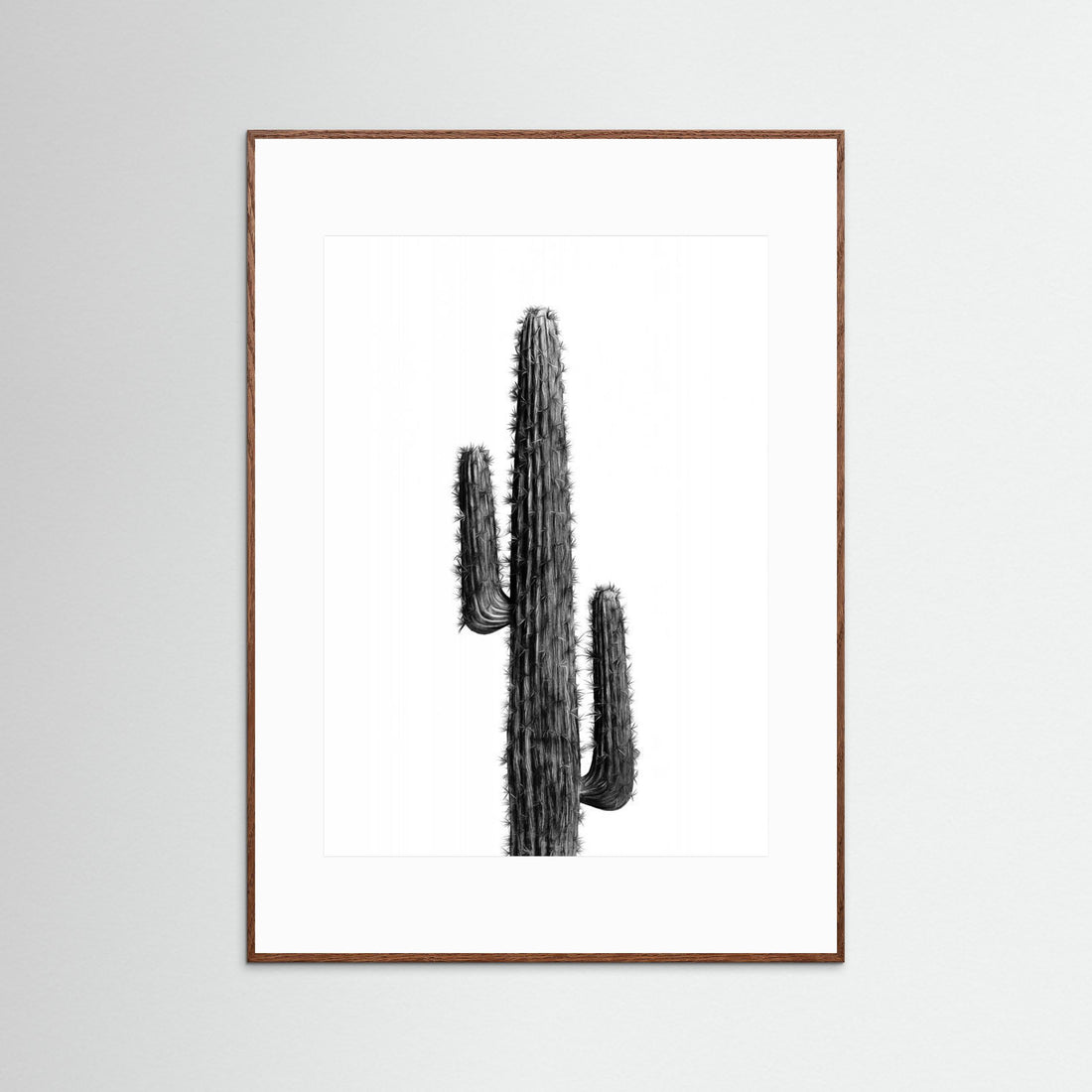 Cactus Black and White 01 by Amini54