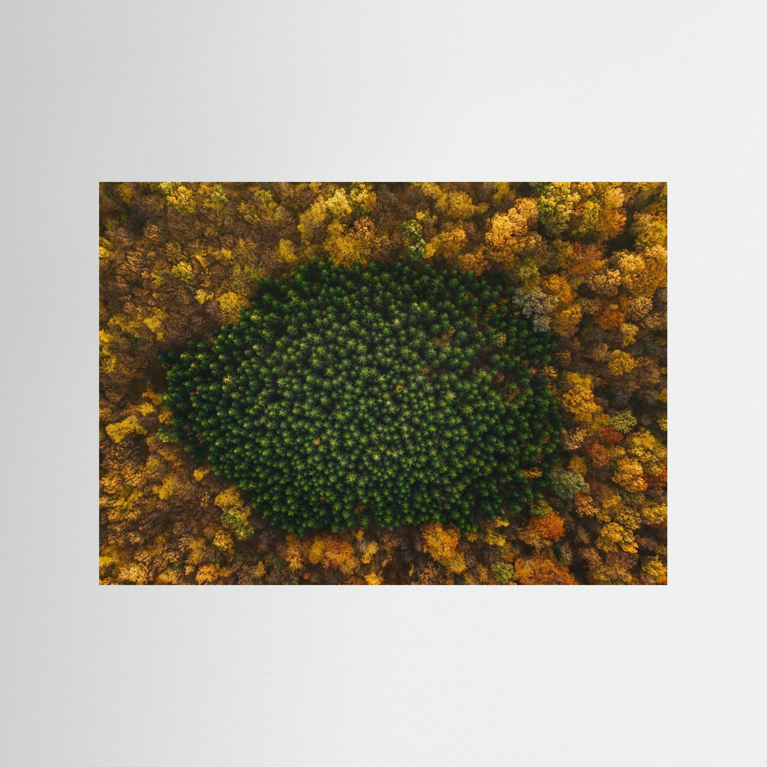 Nature by Angyalosi Beáta