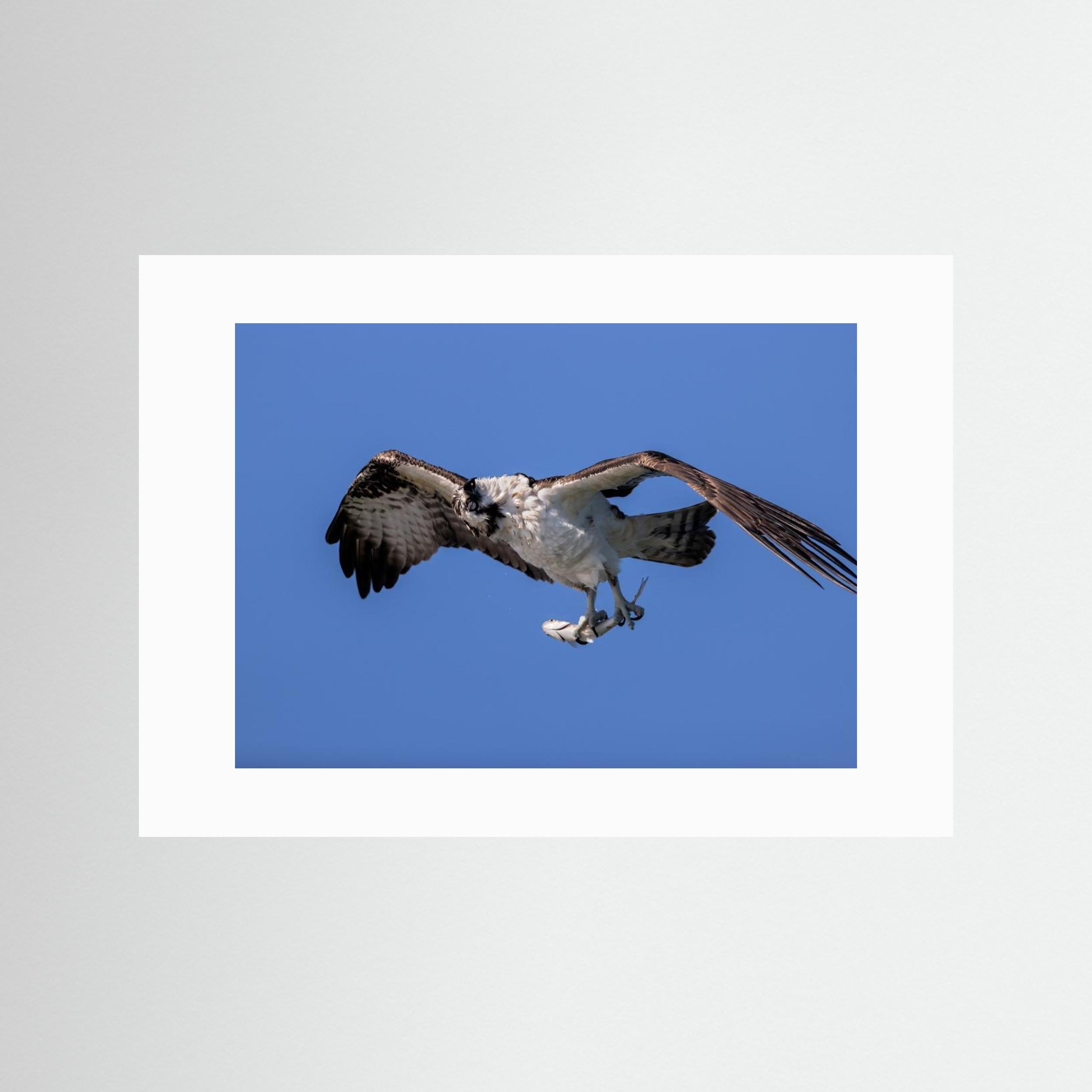 Shaking Water by Jun Zuo