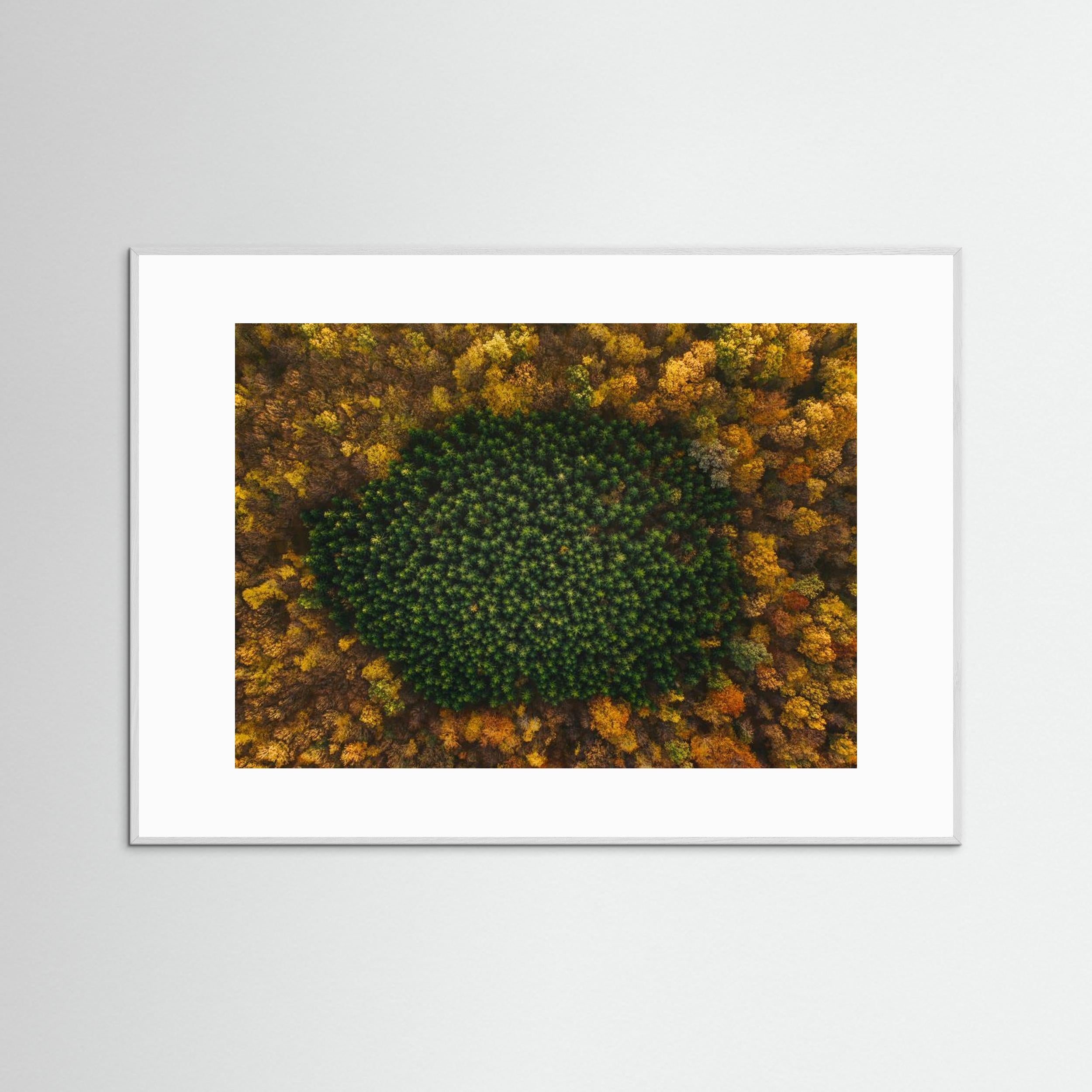 Nature by Angyalosi Beáta