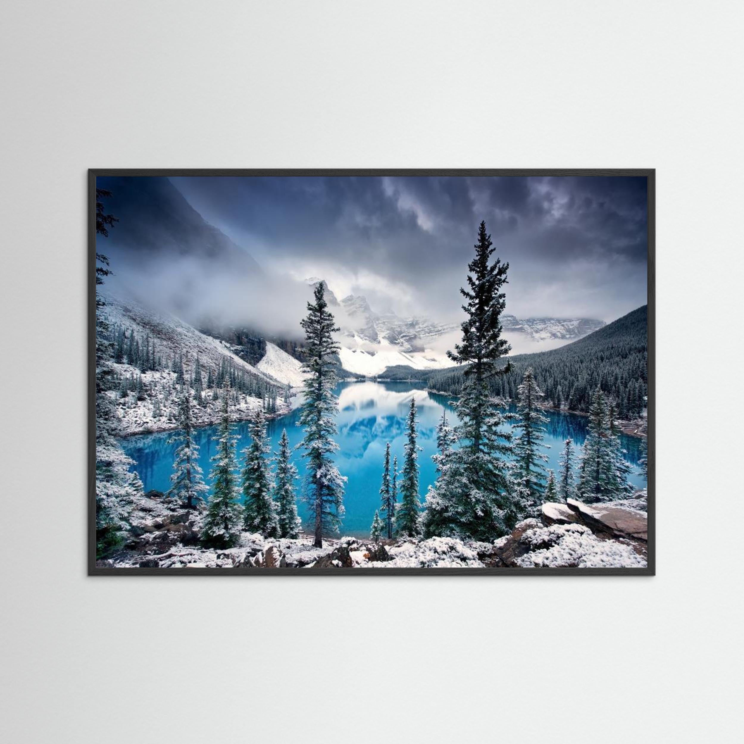 Morning blues by Trevor Cole