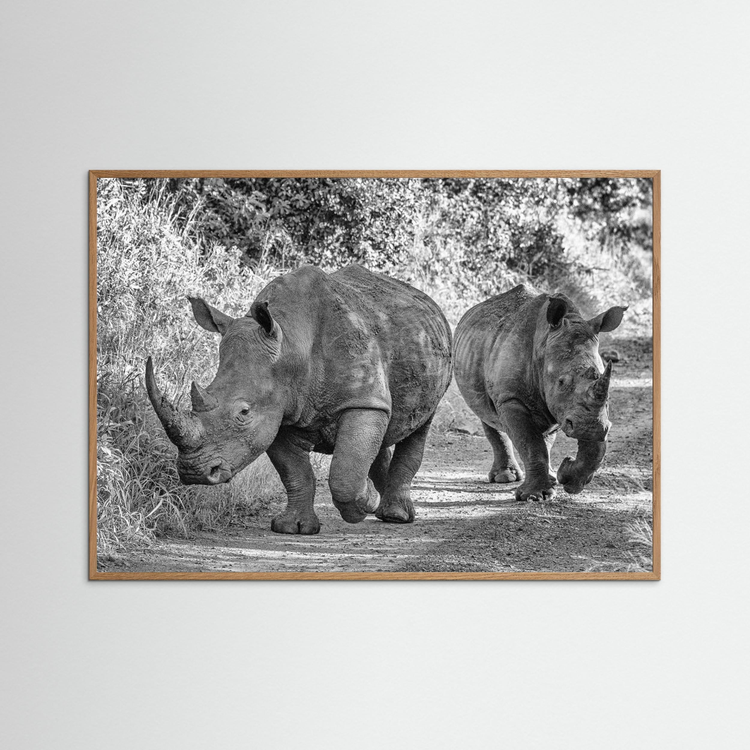 The two rhinos - Wildlife III by Regine Richter