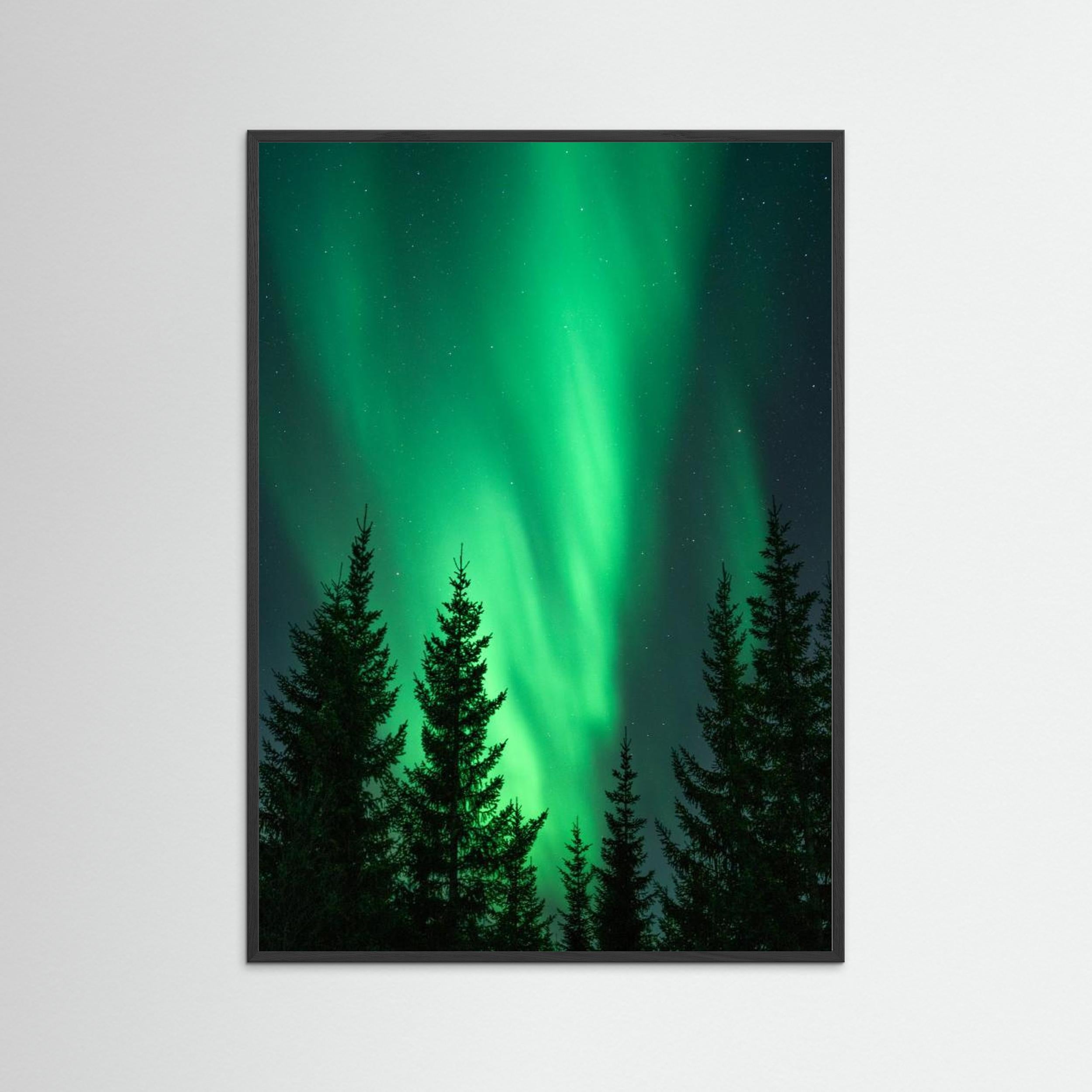 Northern Lights in the Woods by Henrike Schenk