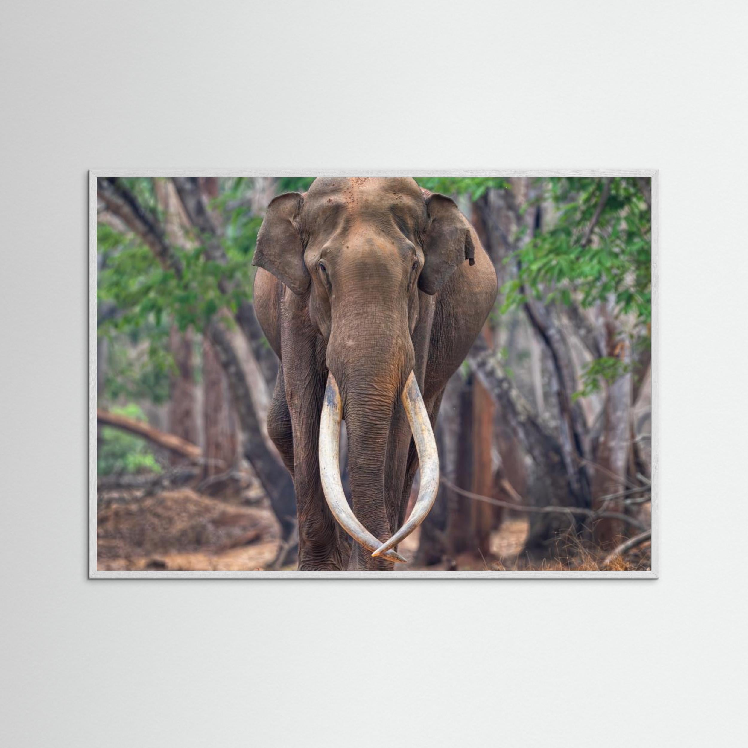 The Mighty by Chiranjib Chakraborty