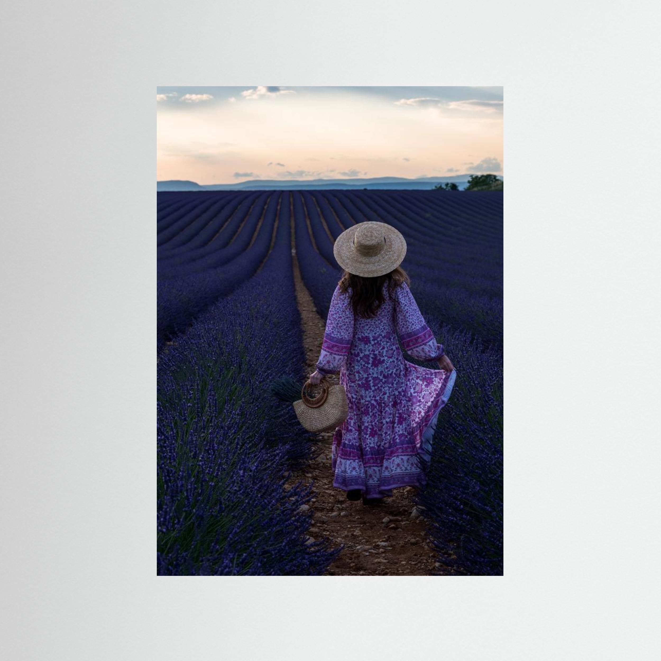 Lavender by Marco Galimberti