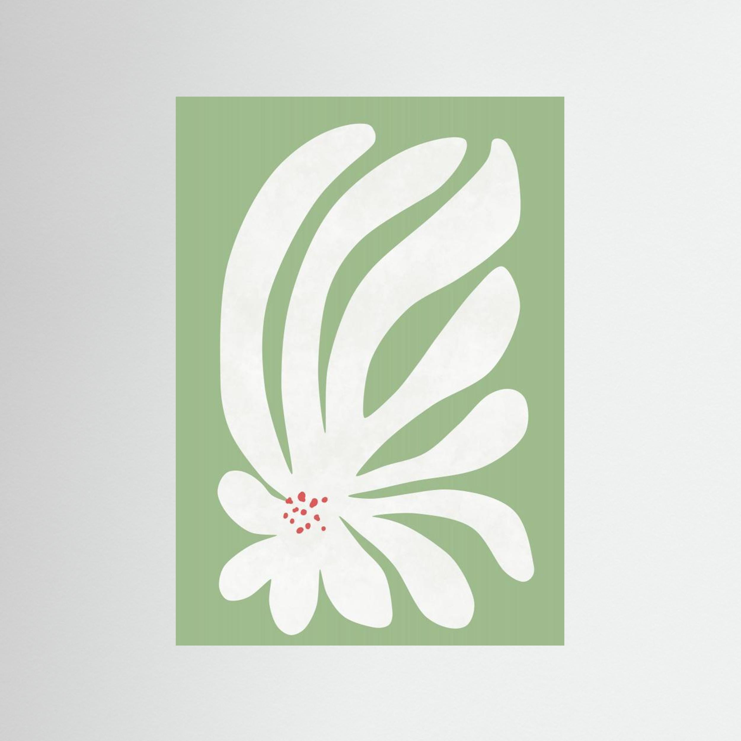 White Chrysanthemum Flower by Amini54