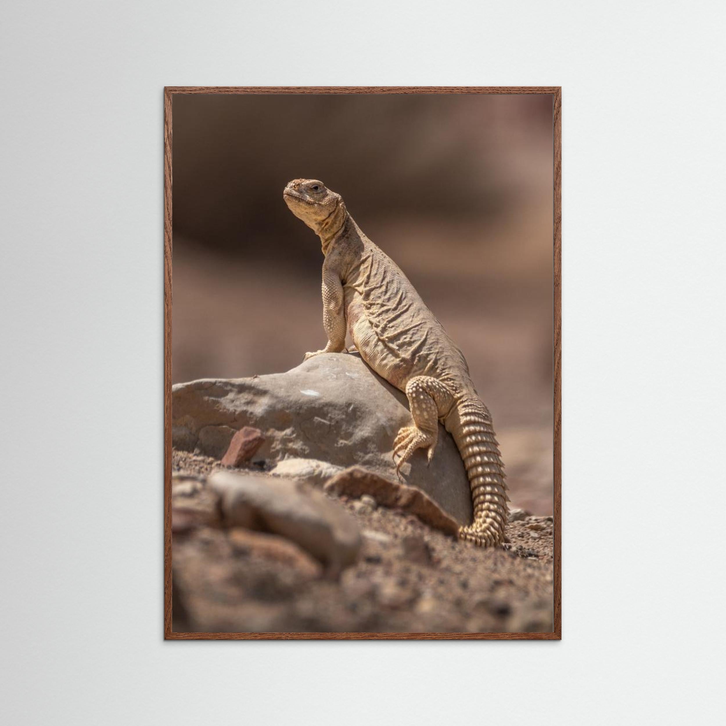 Looking at the intruder by Doron Margulies