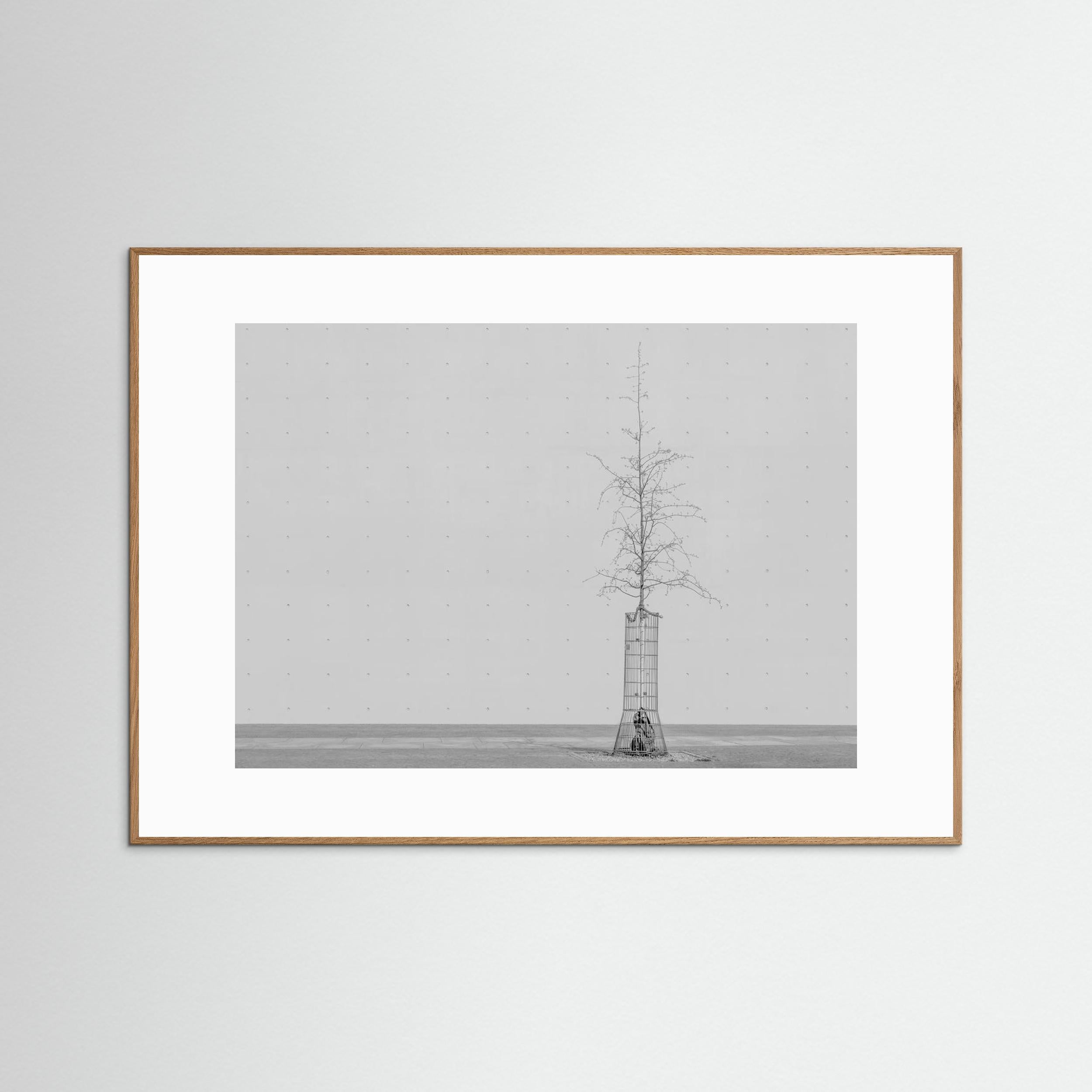 the tree by Klaus Lenzen