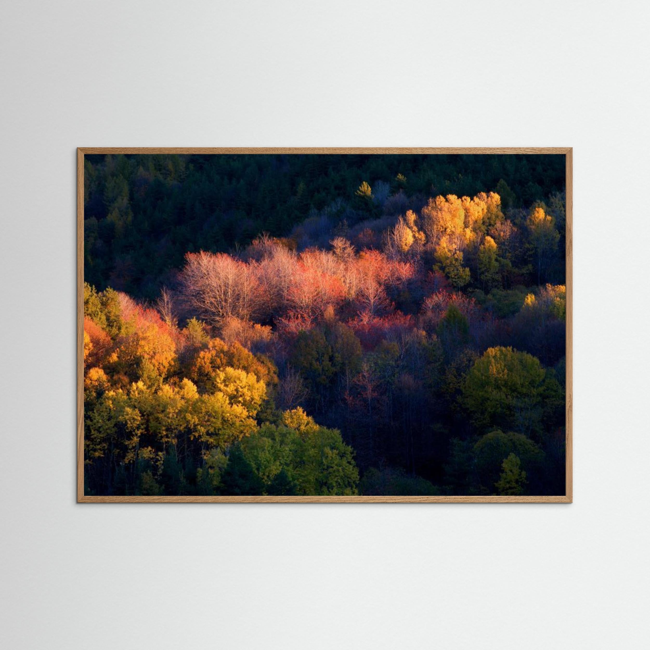 Colors by Paolo Bolla