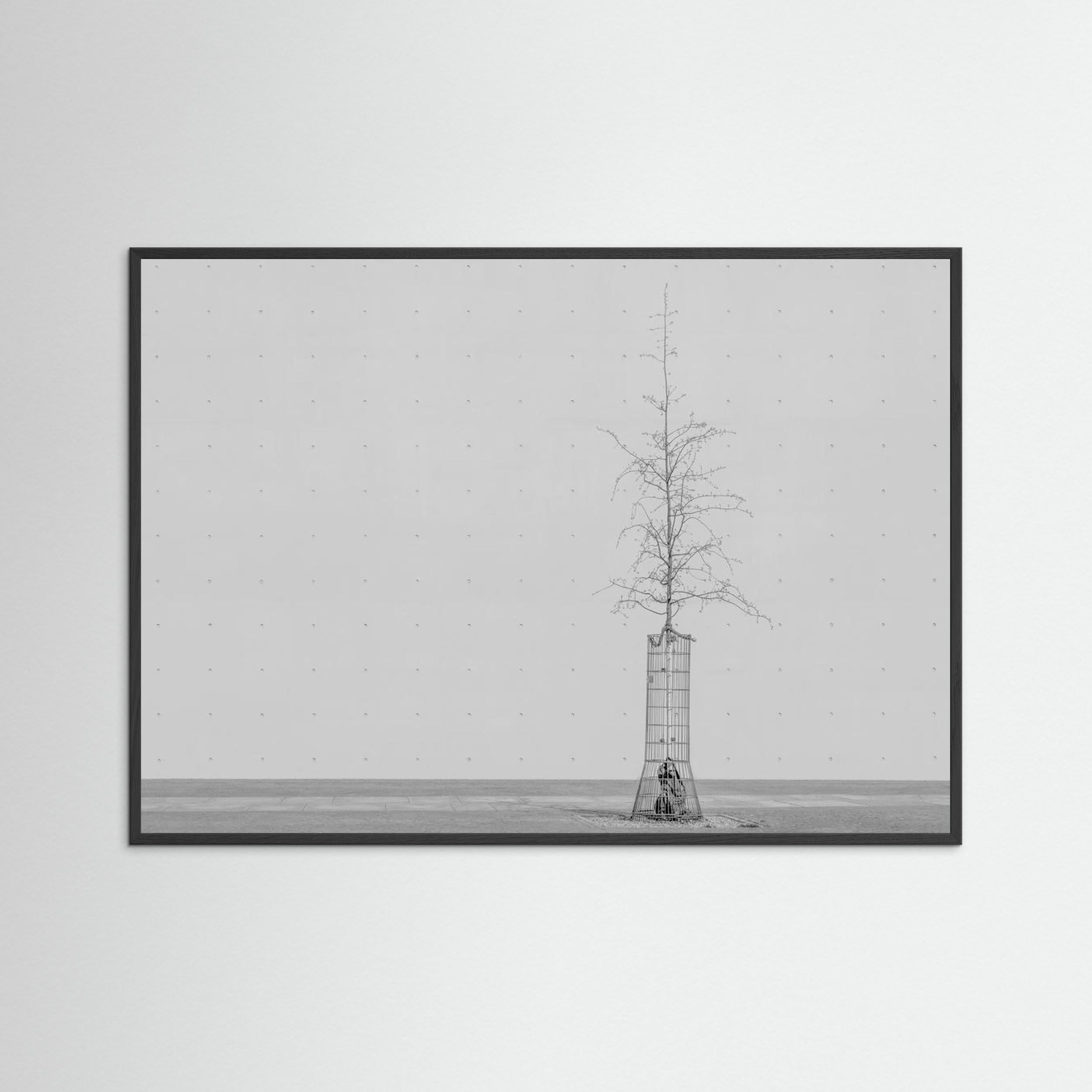 the tree by Klaus Lenzen