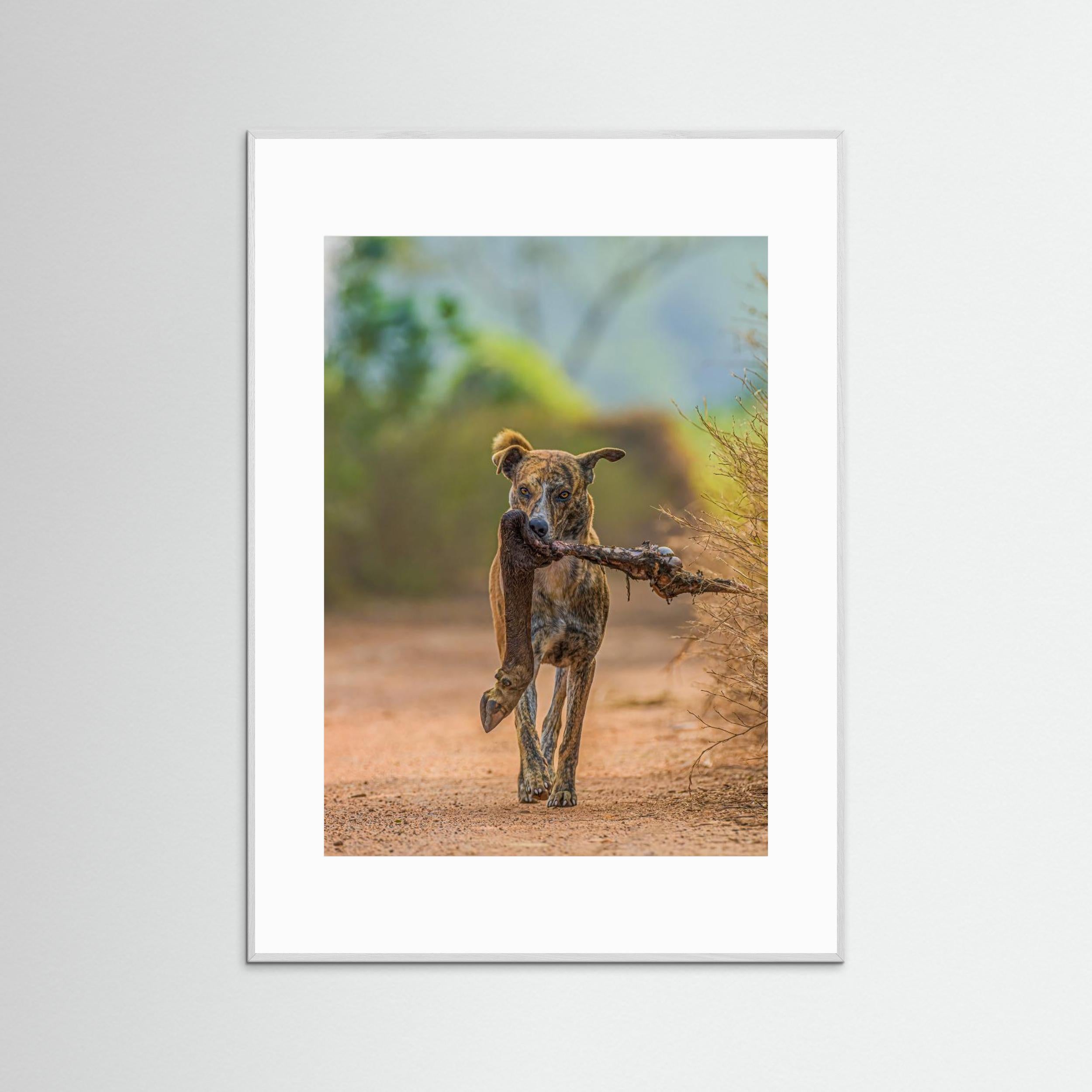 Party with leg piece by Susavan Aditya