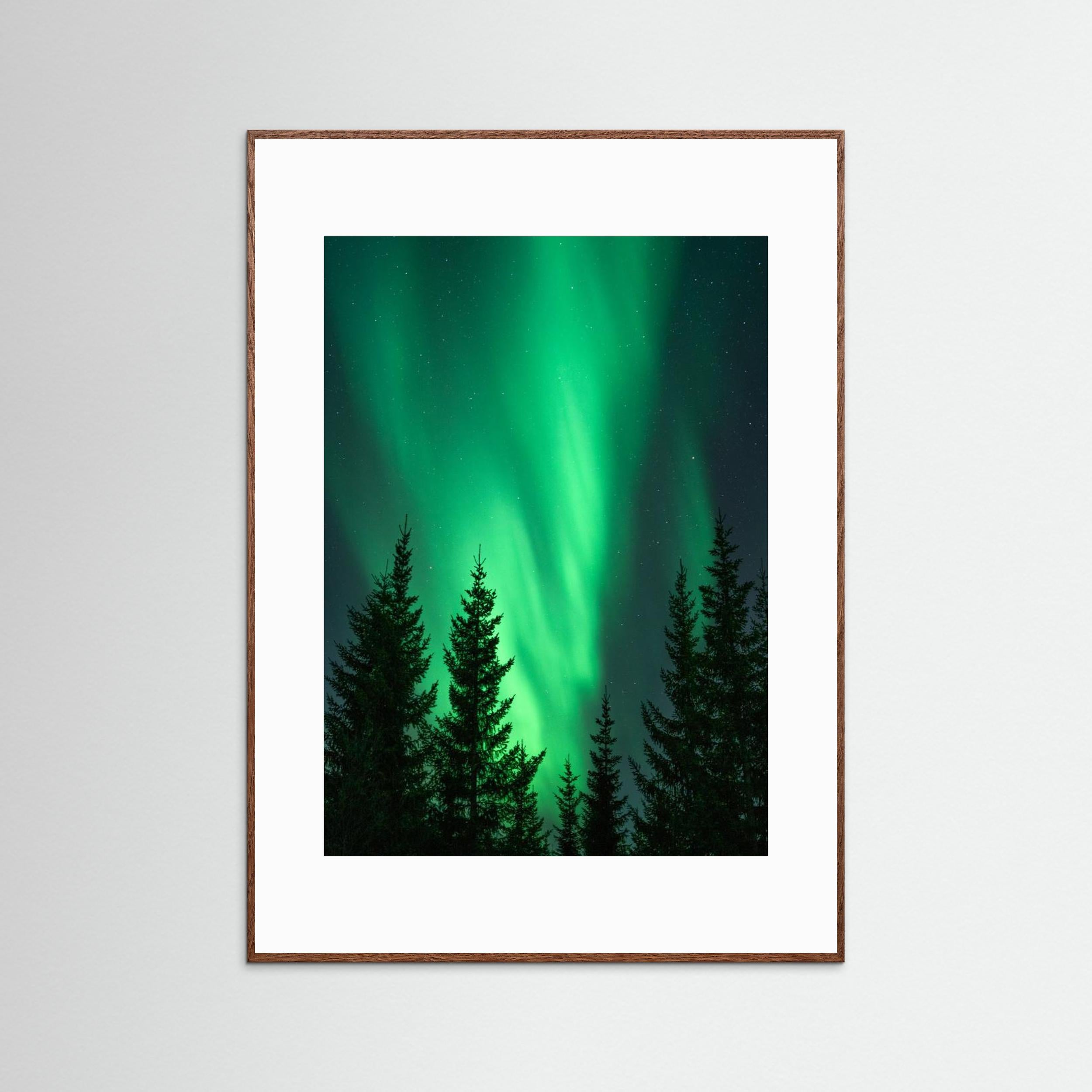 Northern Lights in the Woods by Henrike Schenk