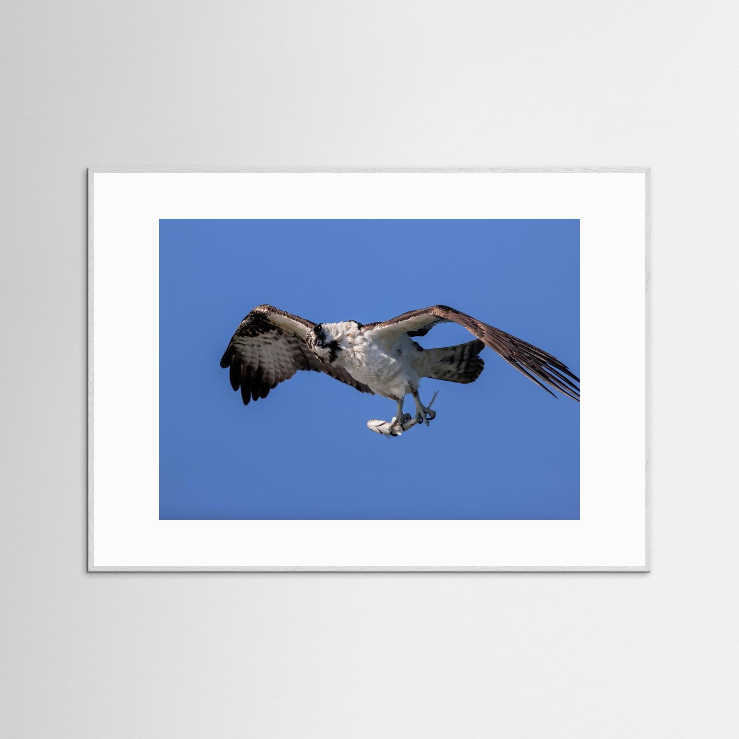 Shaking Water by Jun Zuo