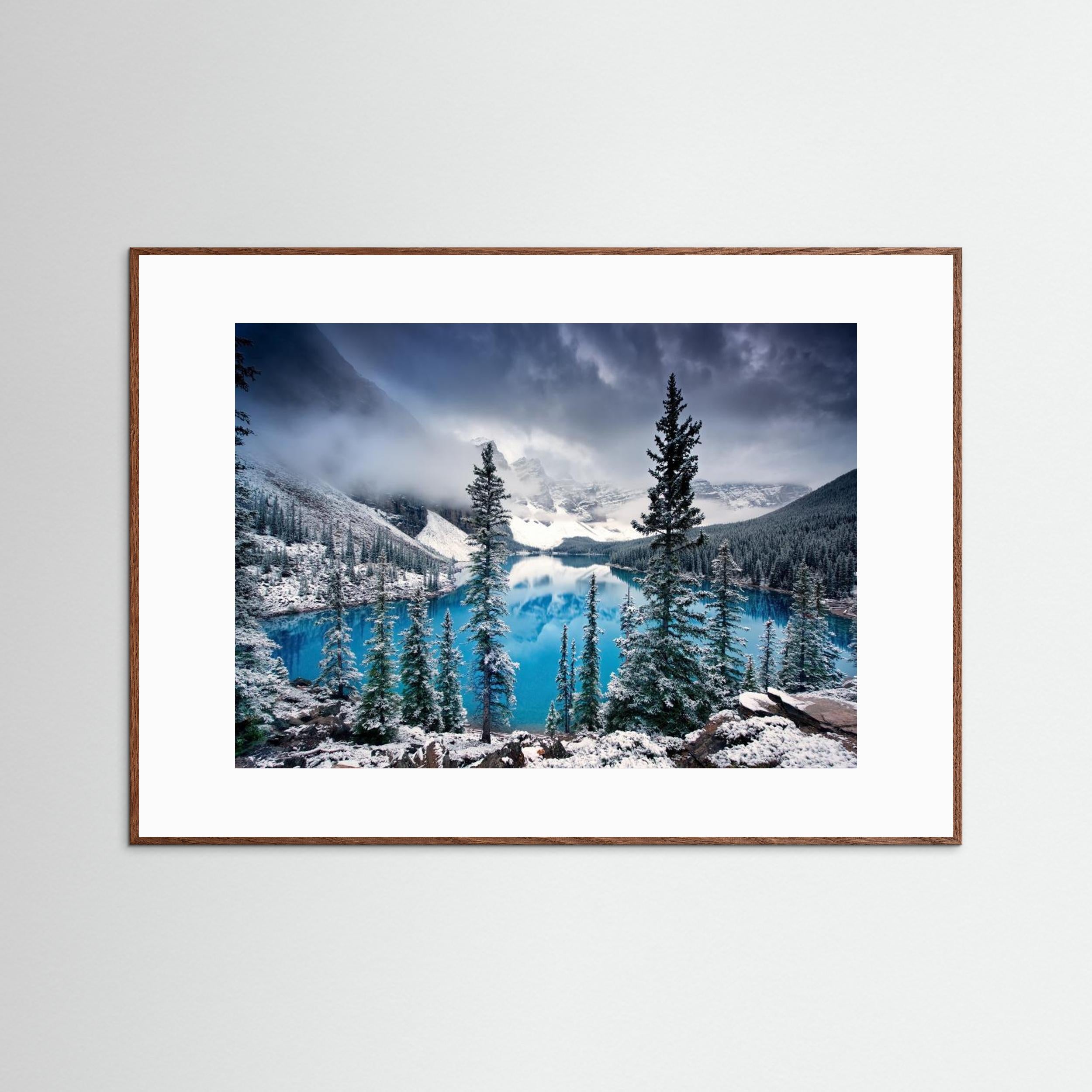 Morning blues by Trevor Cole