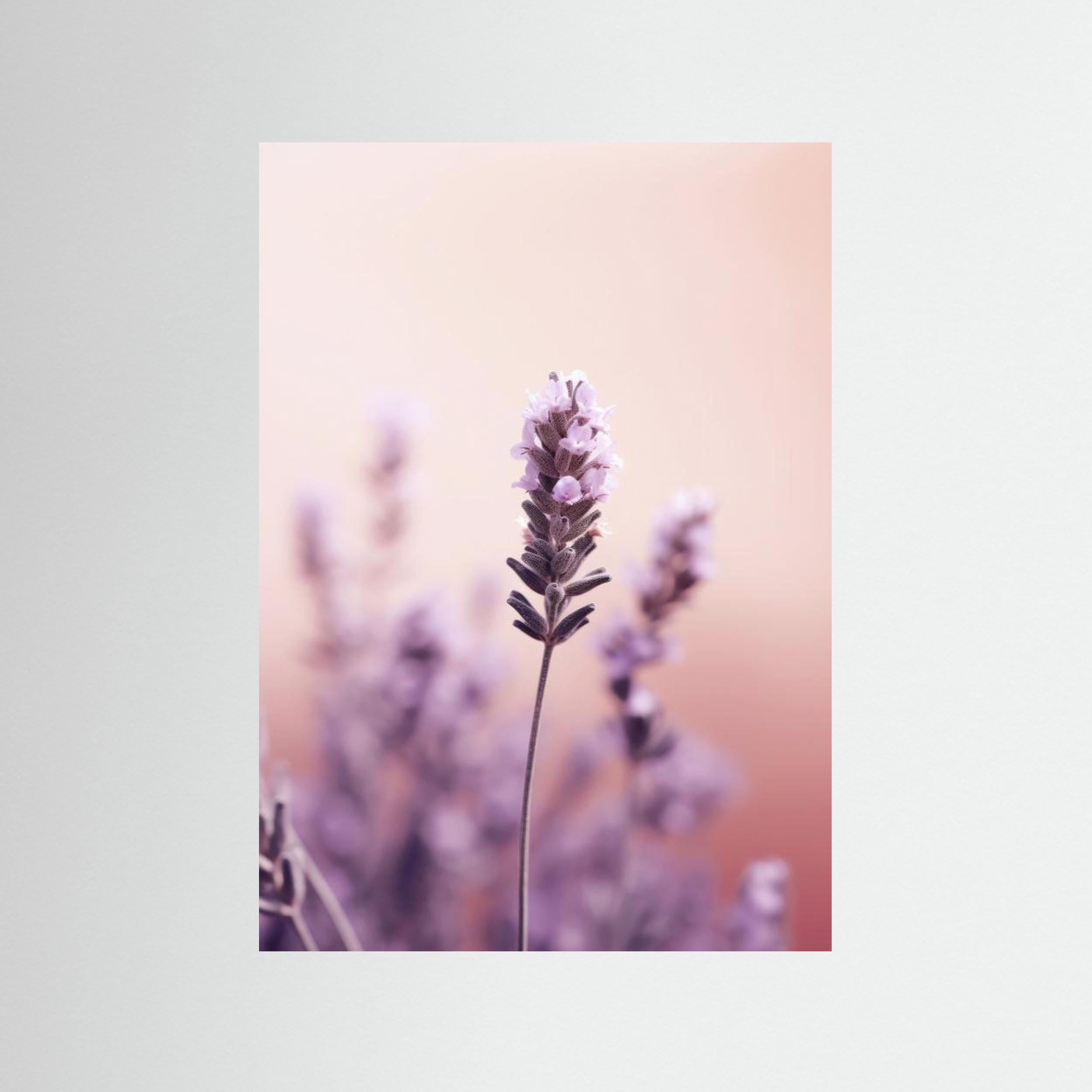 Lavender Detail by Treechild