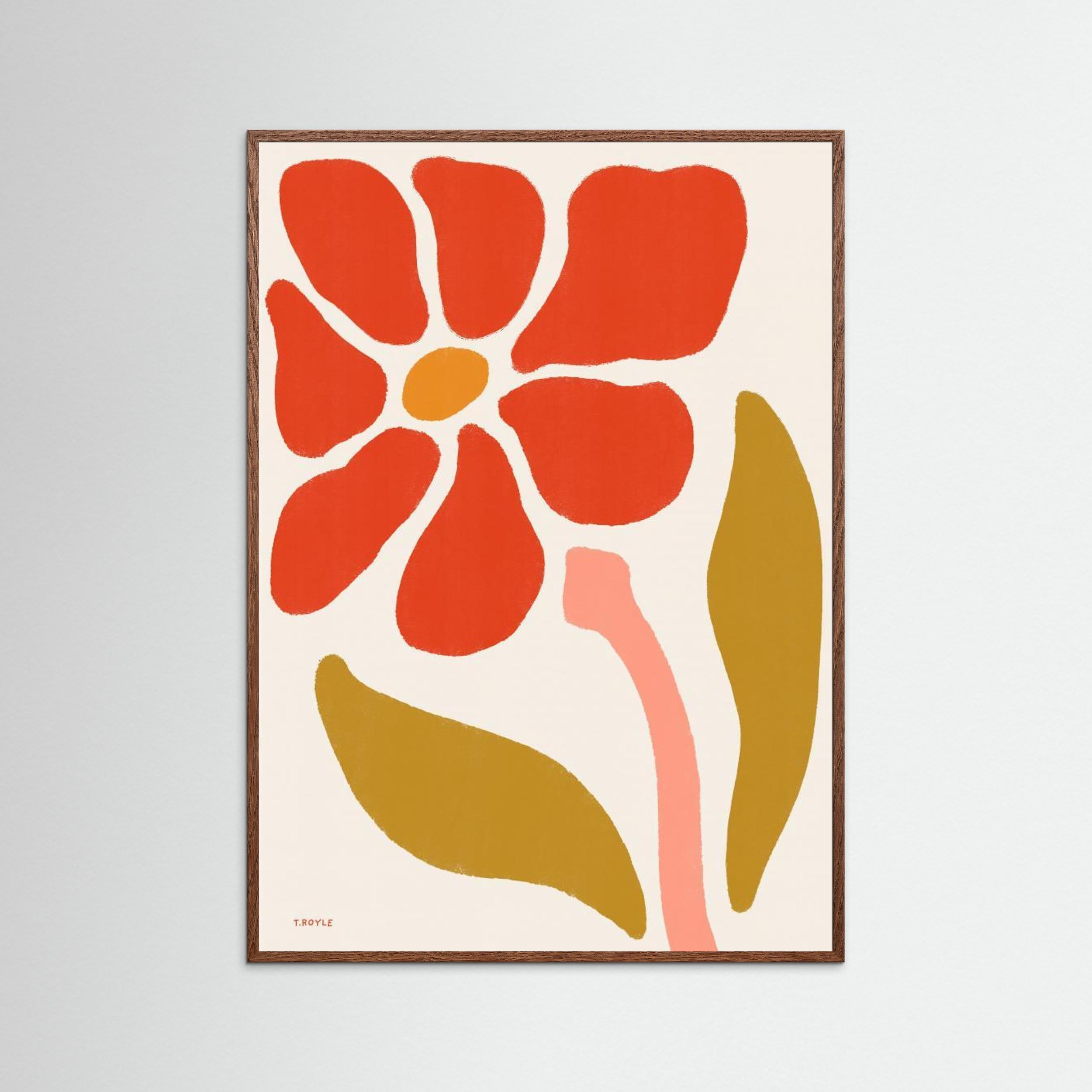 Daisy Flower by Tara Royle