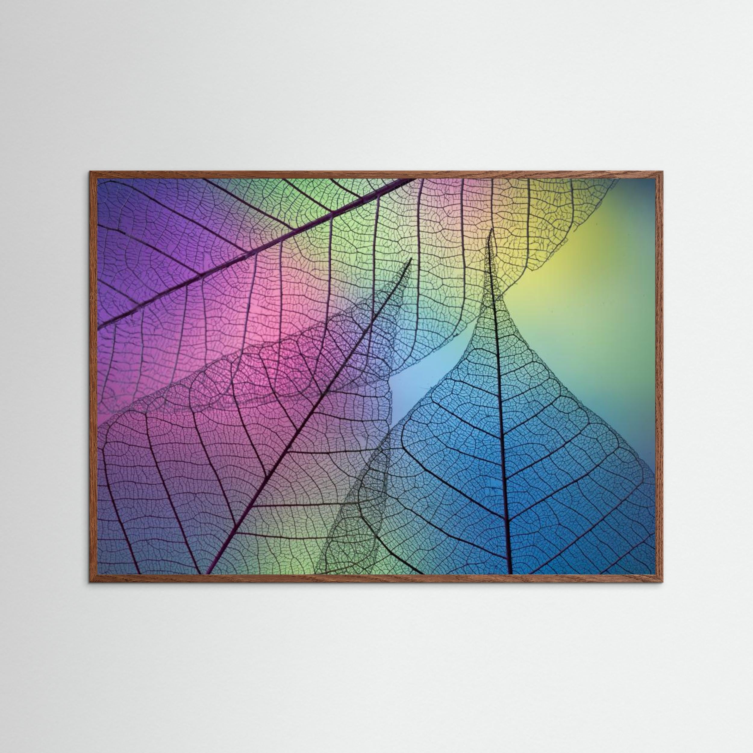 Colors Leafs by Shihya Kowatari