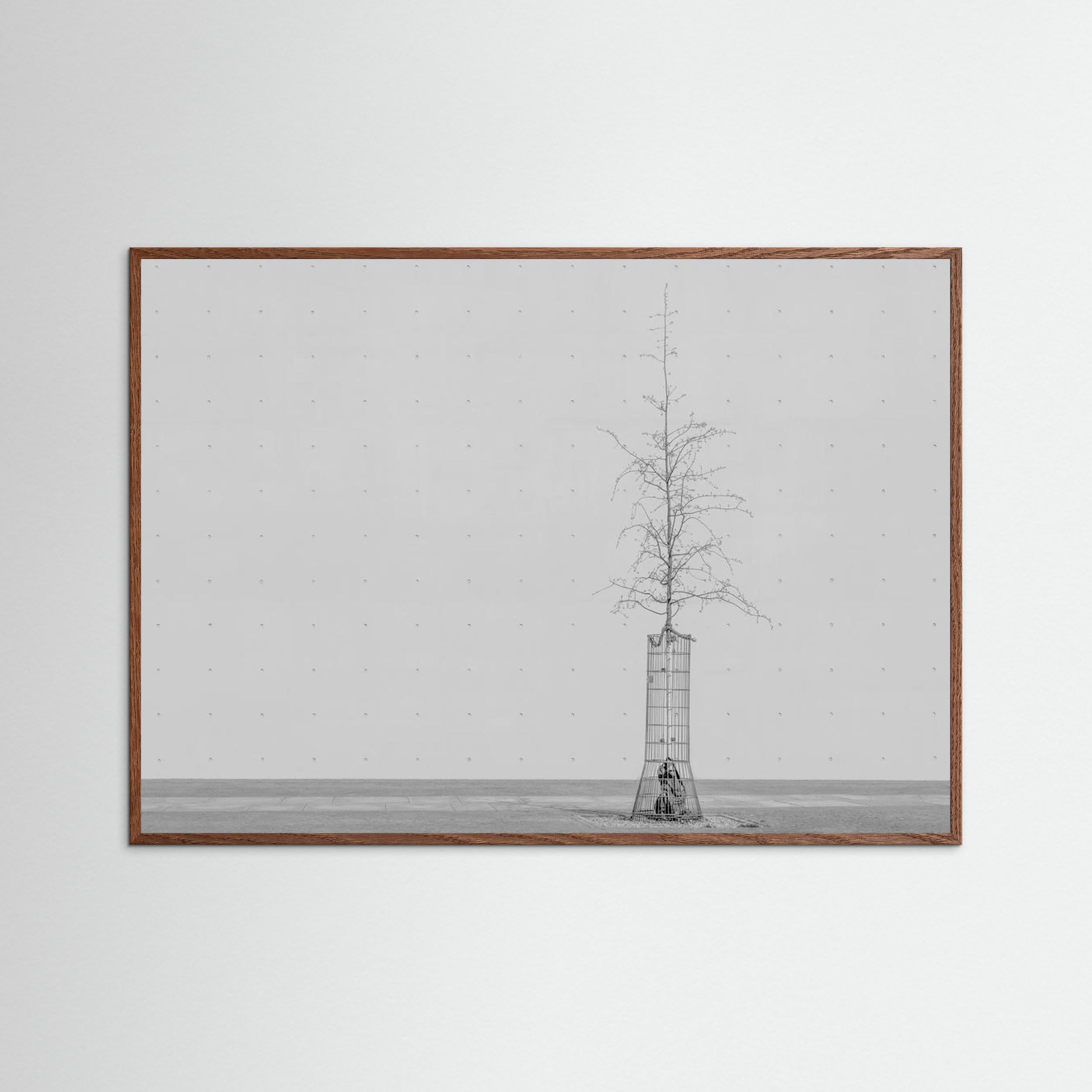 the tree by Klaus Lenzen