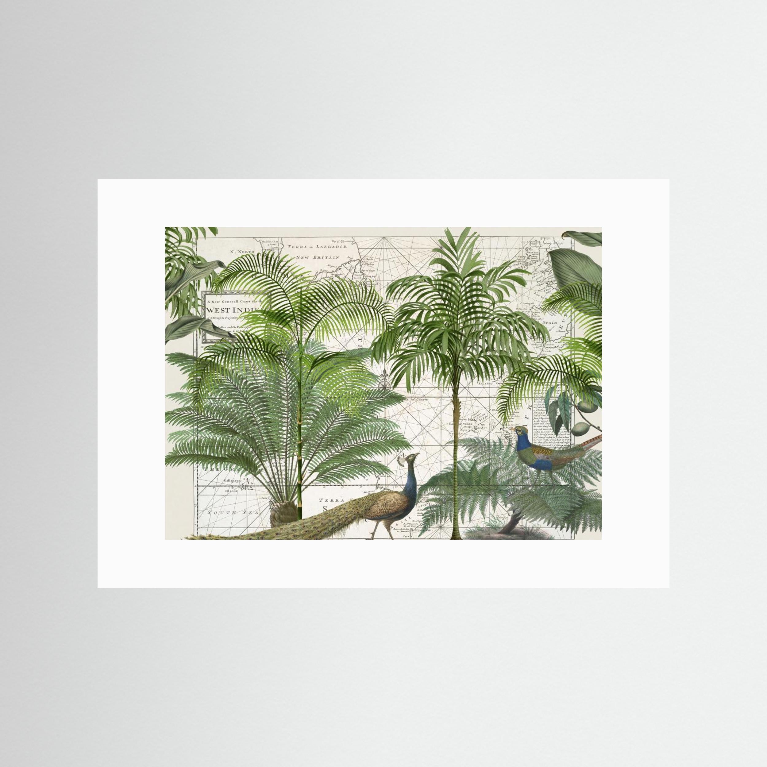 Tropical Empire No6 by Andrea Haase