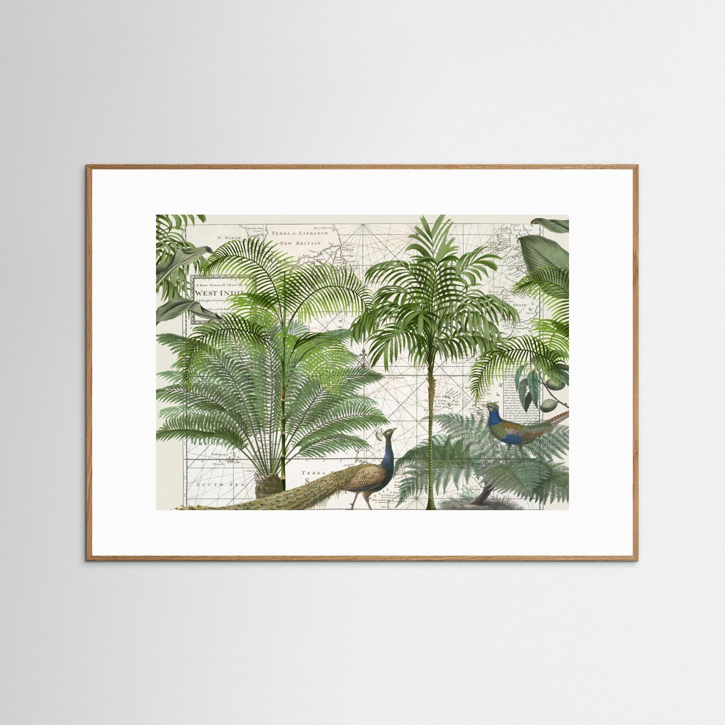 Tropical Empire No6 by Andrea Haase