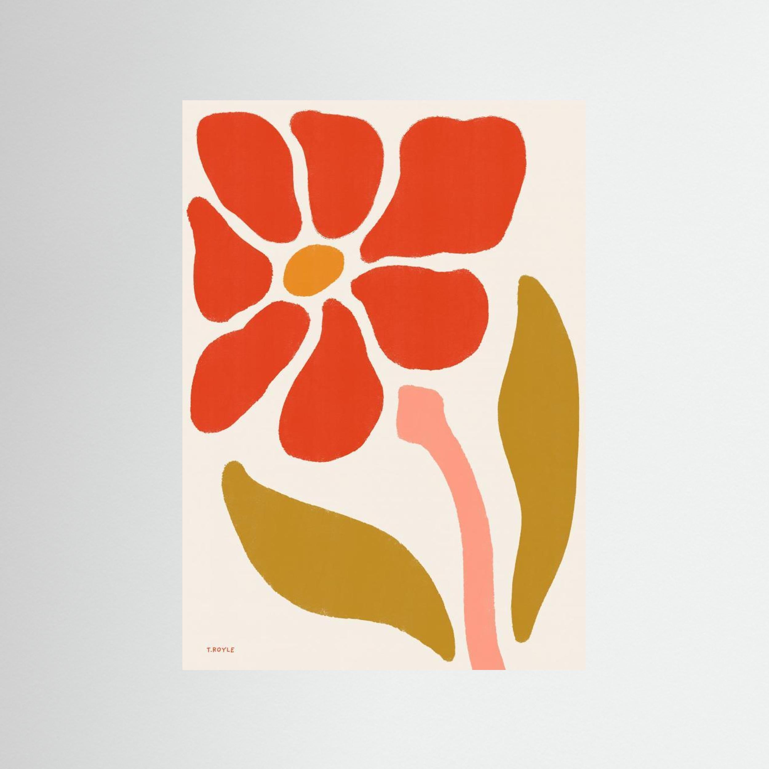 Daisy Flower by Tara Royle