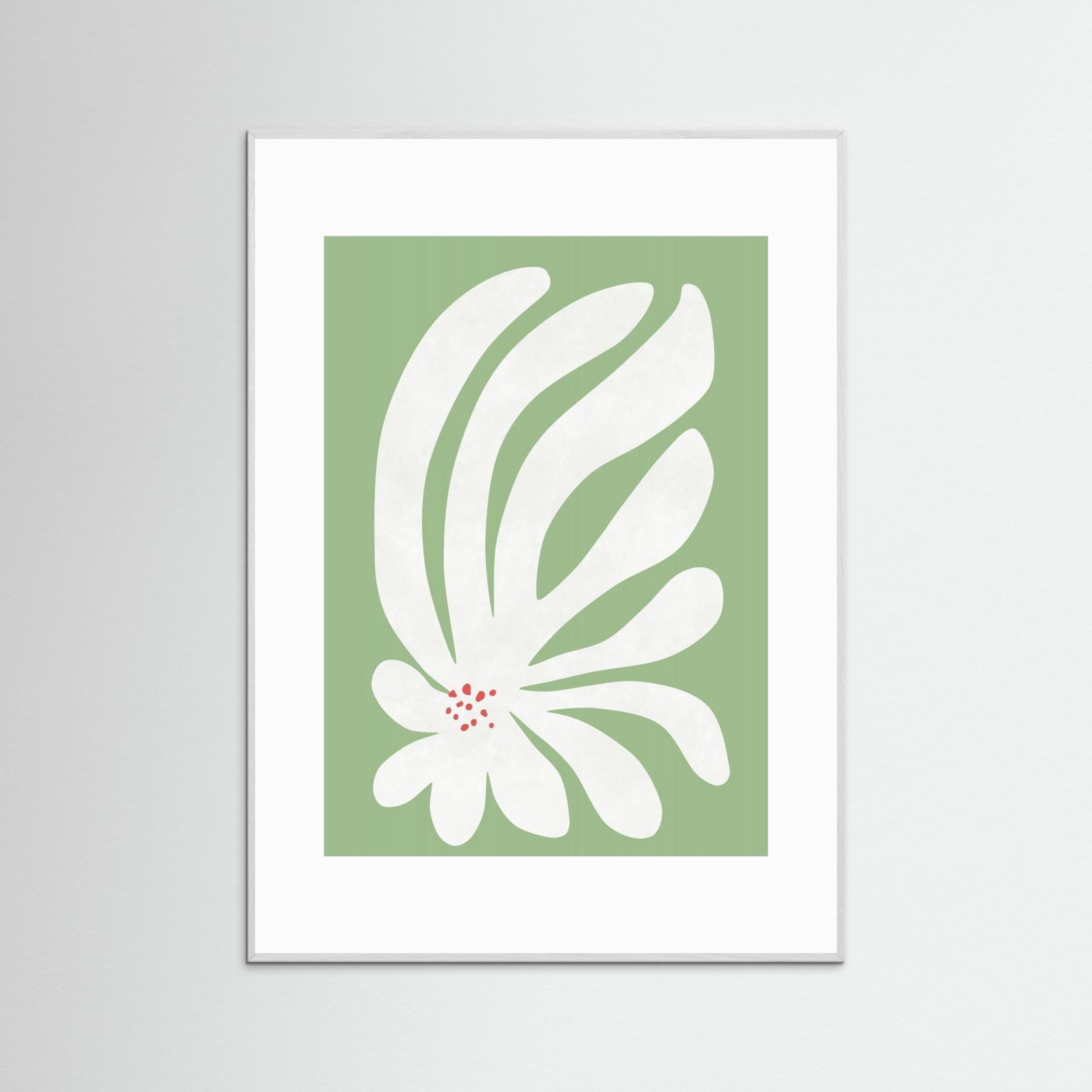 White Chrysanthemum Flower by Amini54