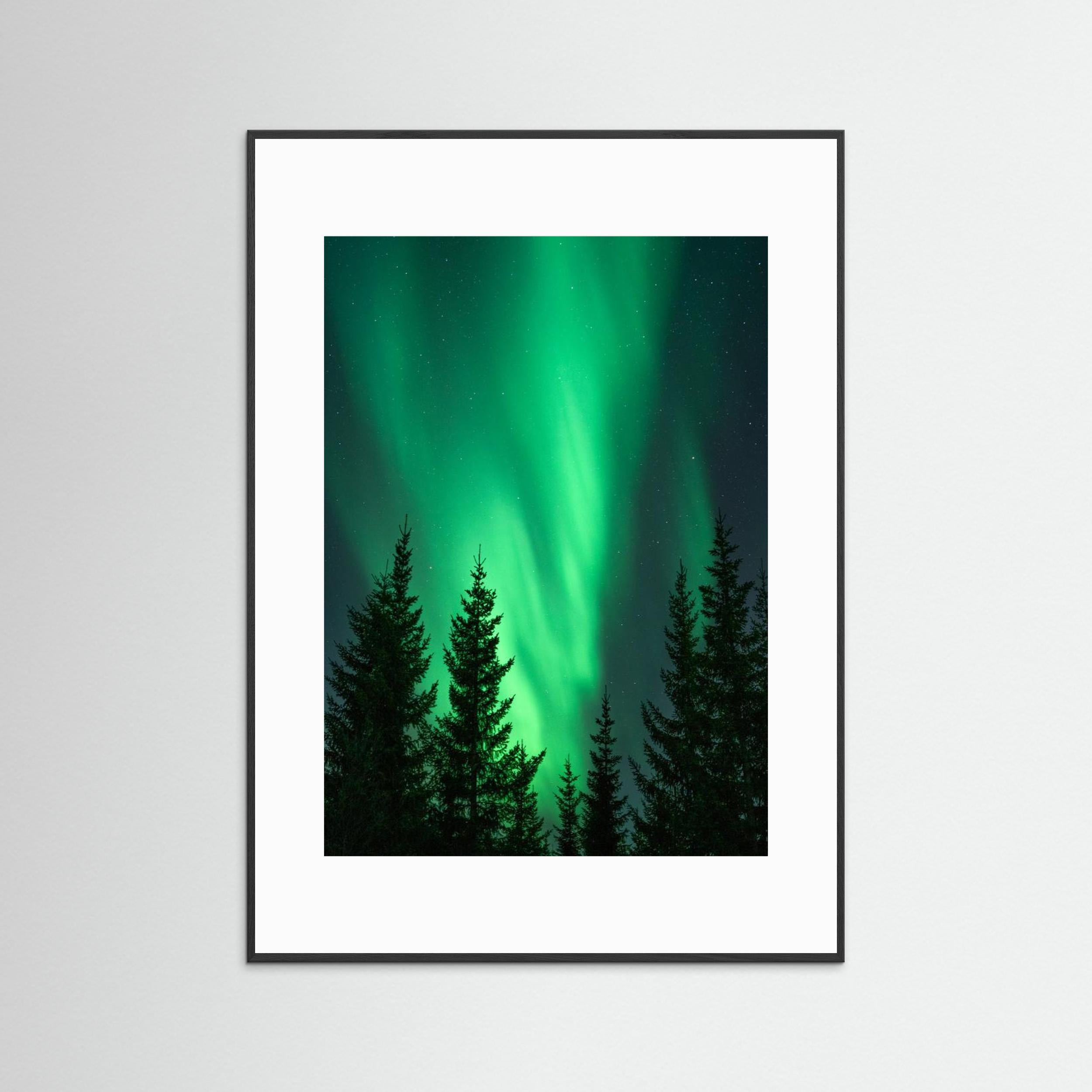 Northern Lights in the Woods by Henrike Schenk