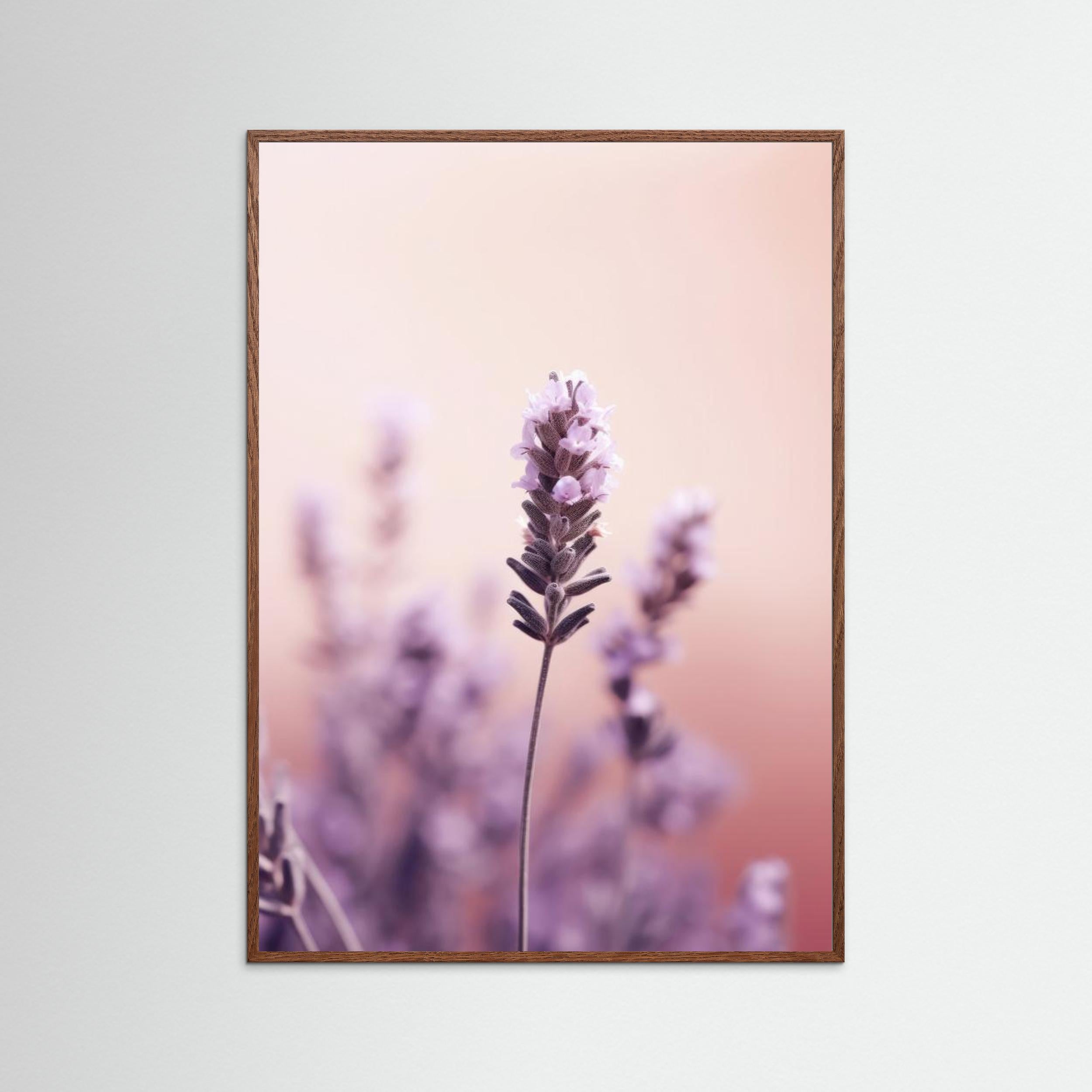 Lavender Detail by Treechild