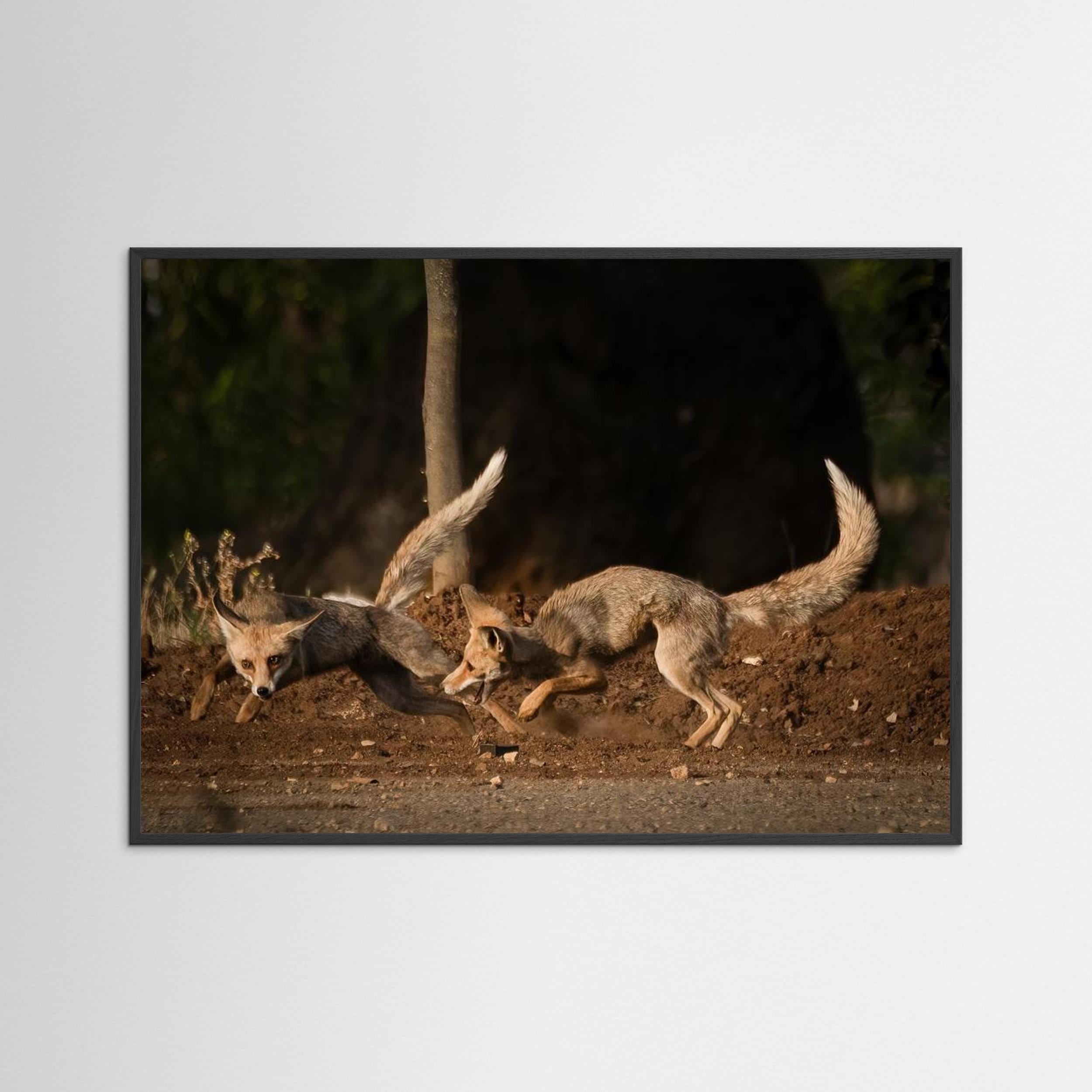 Morning games by Doron Margulies