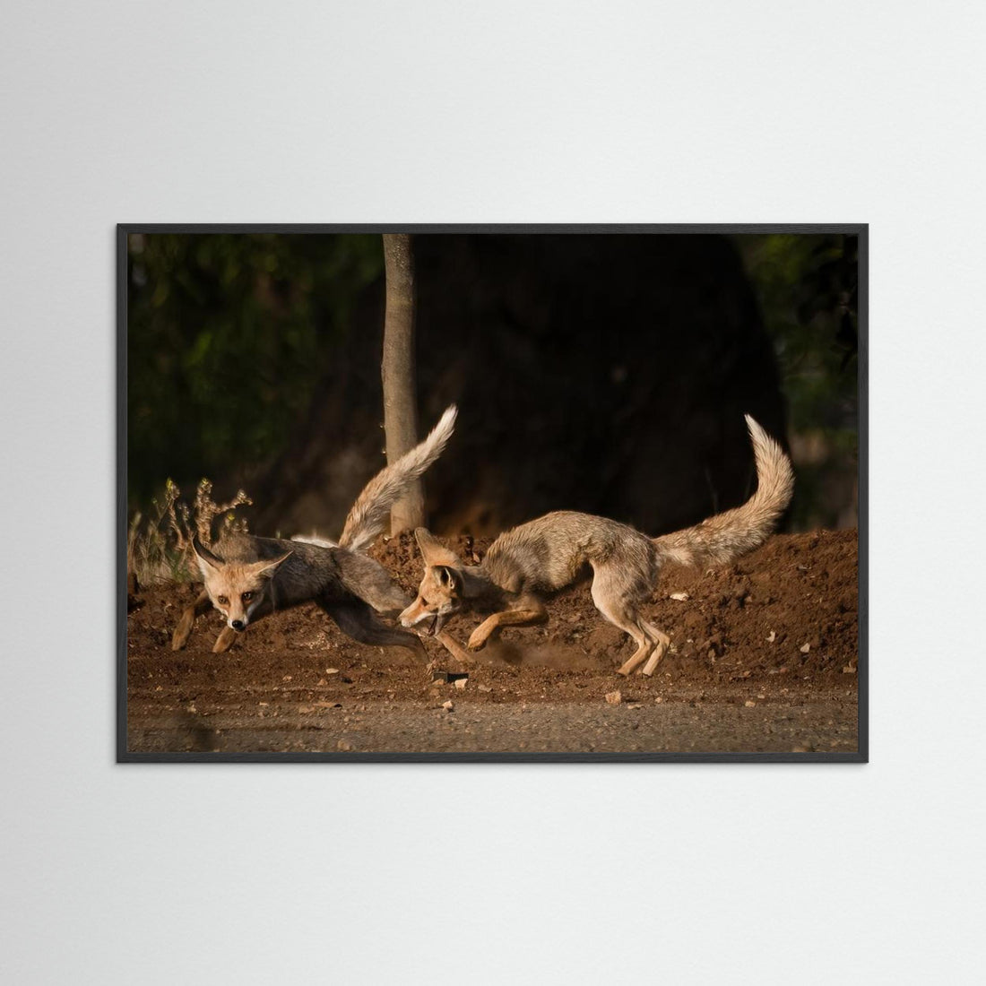 Morning games by Doron Margulies