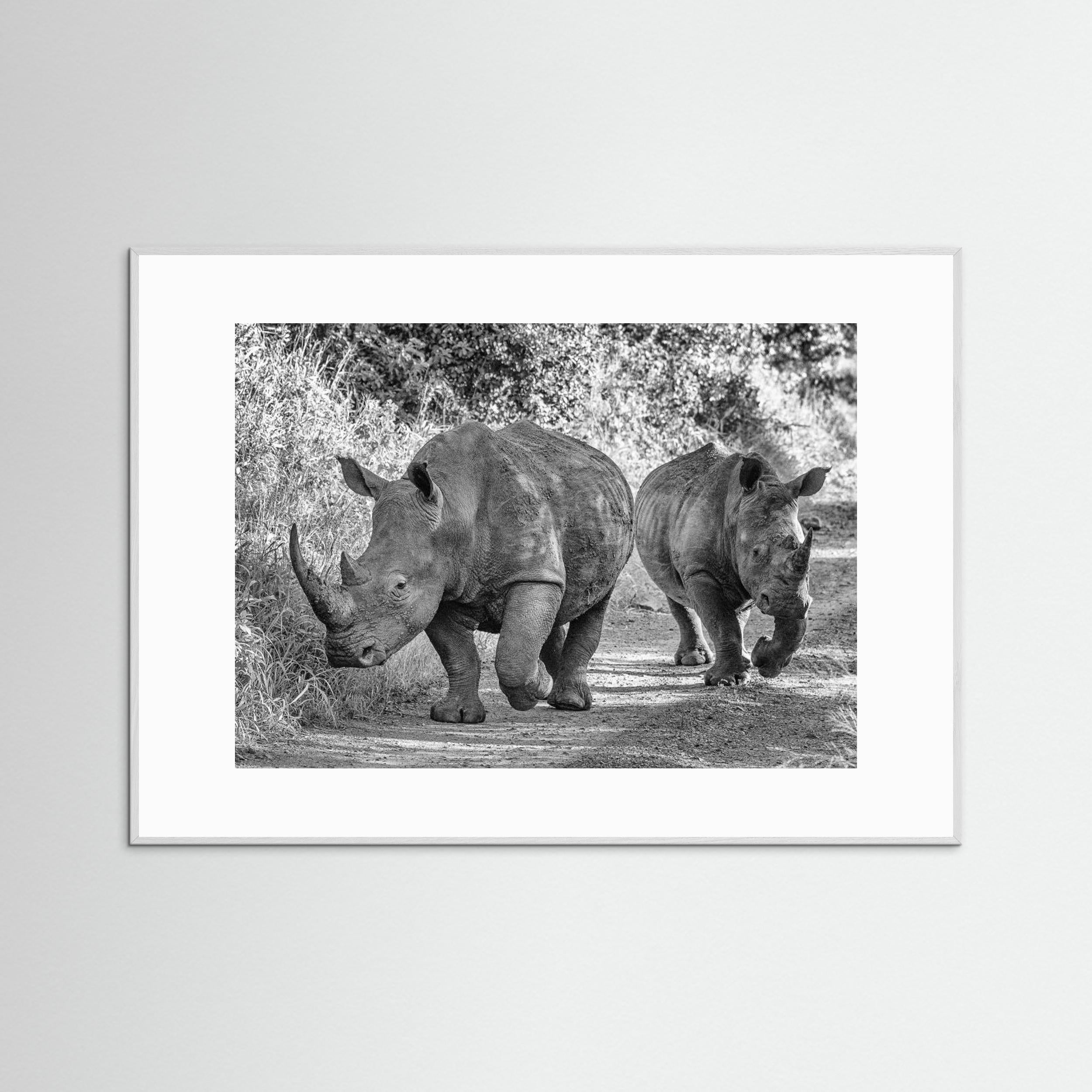 The two rhinos - Wildlife III by Regine Richter