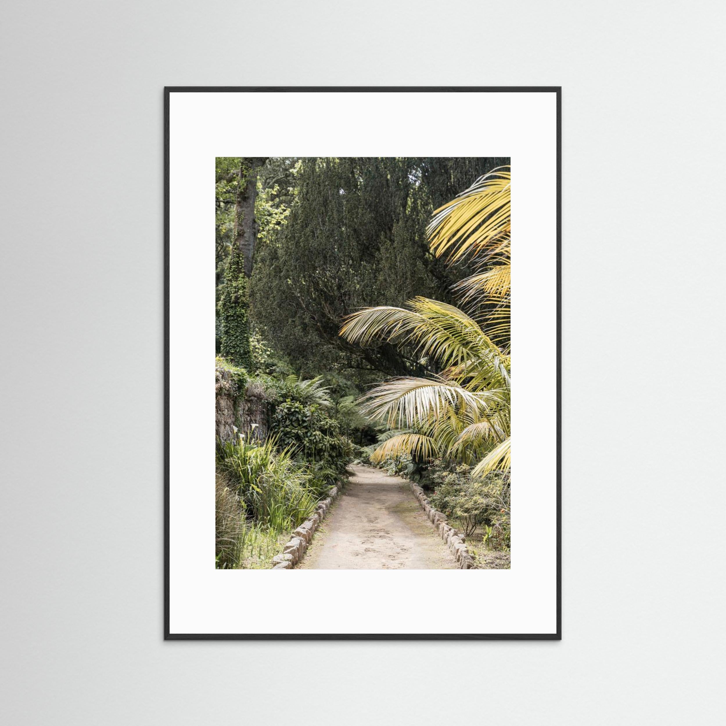 Tropical Walk by Henrike Schenk