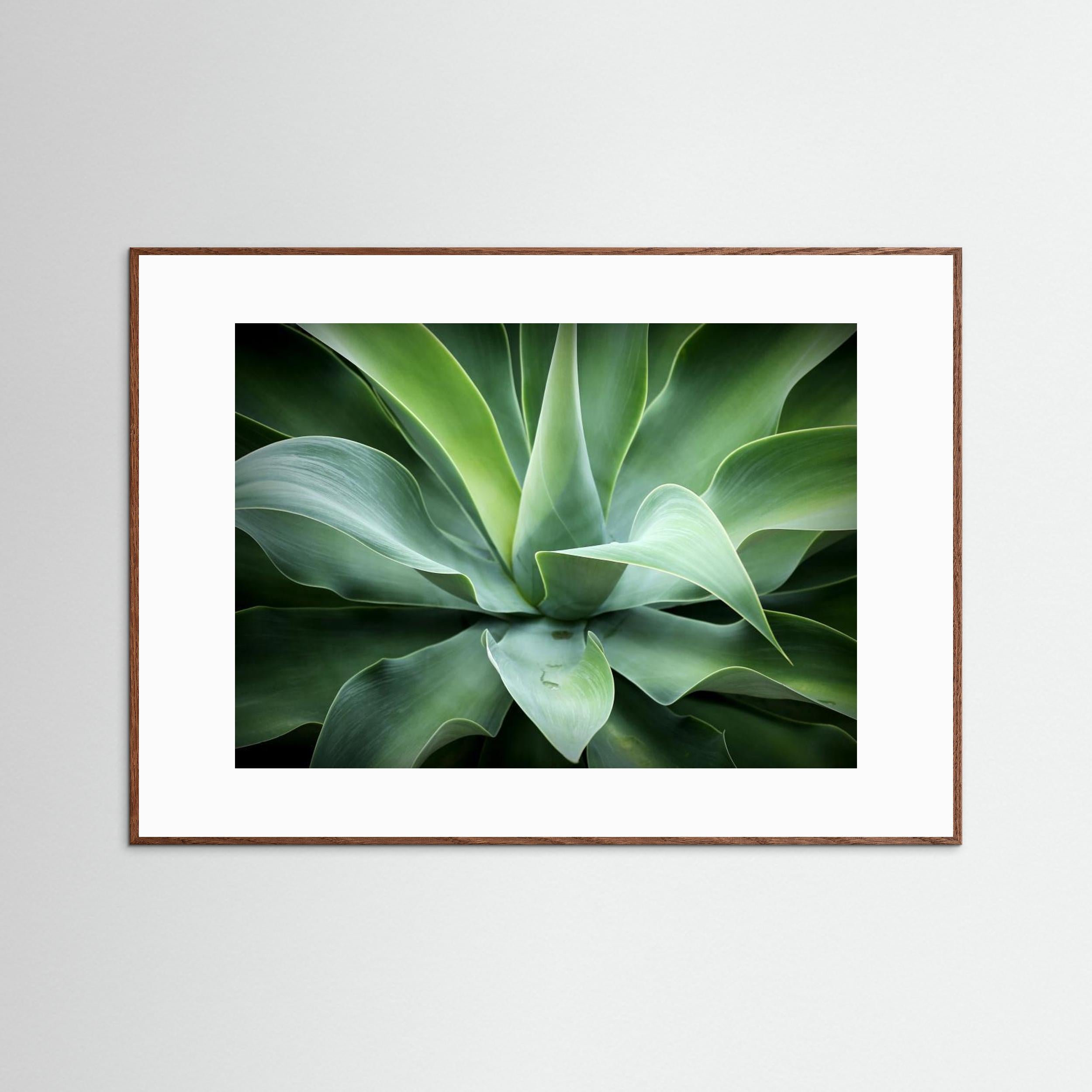 Natural by Isabel Daniel