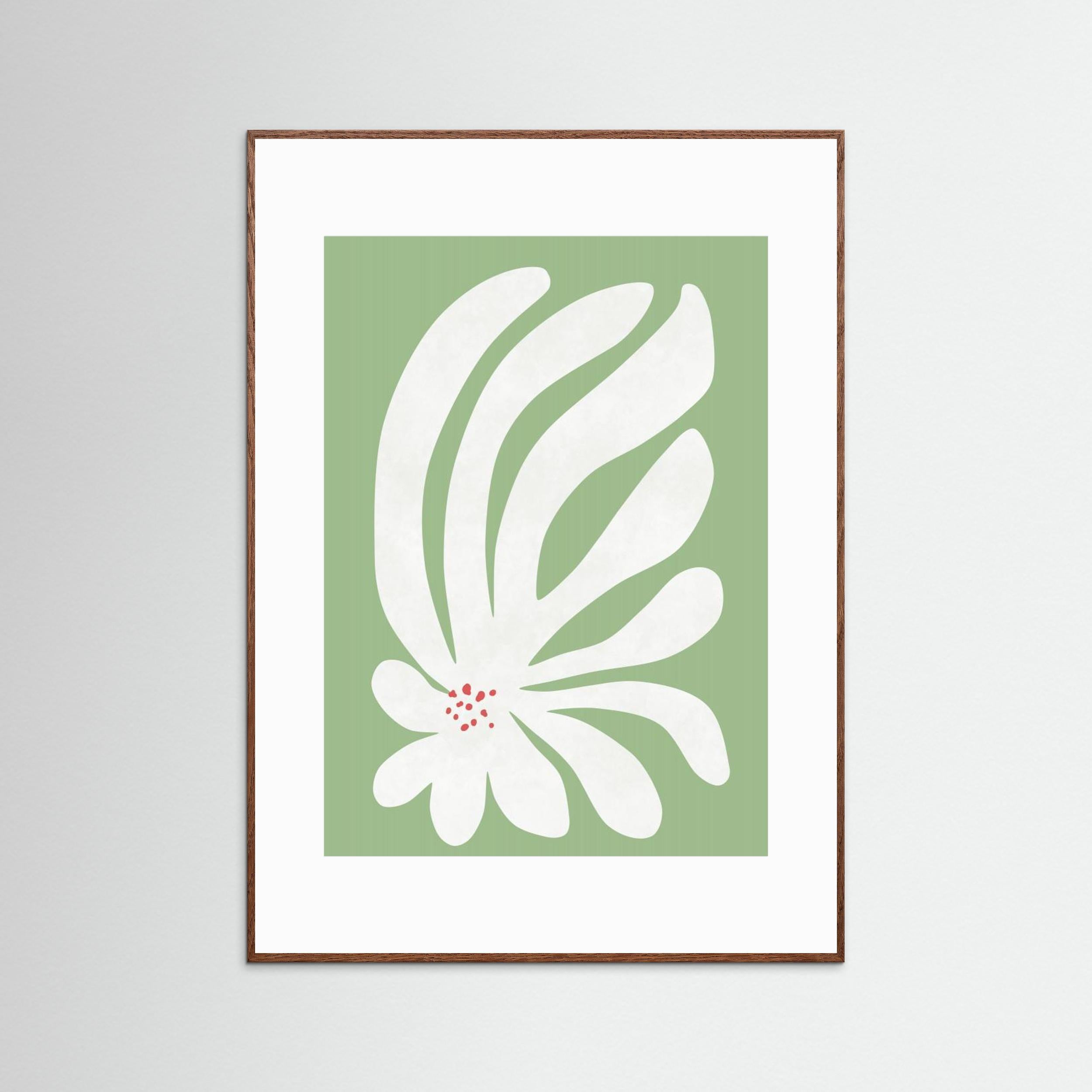 White Chrysanthemum Flower by Amini54