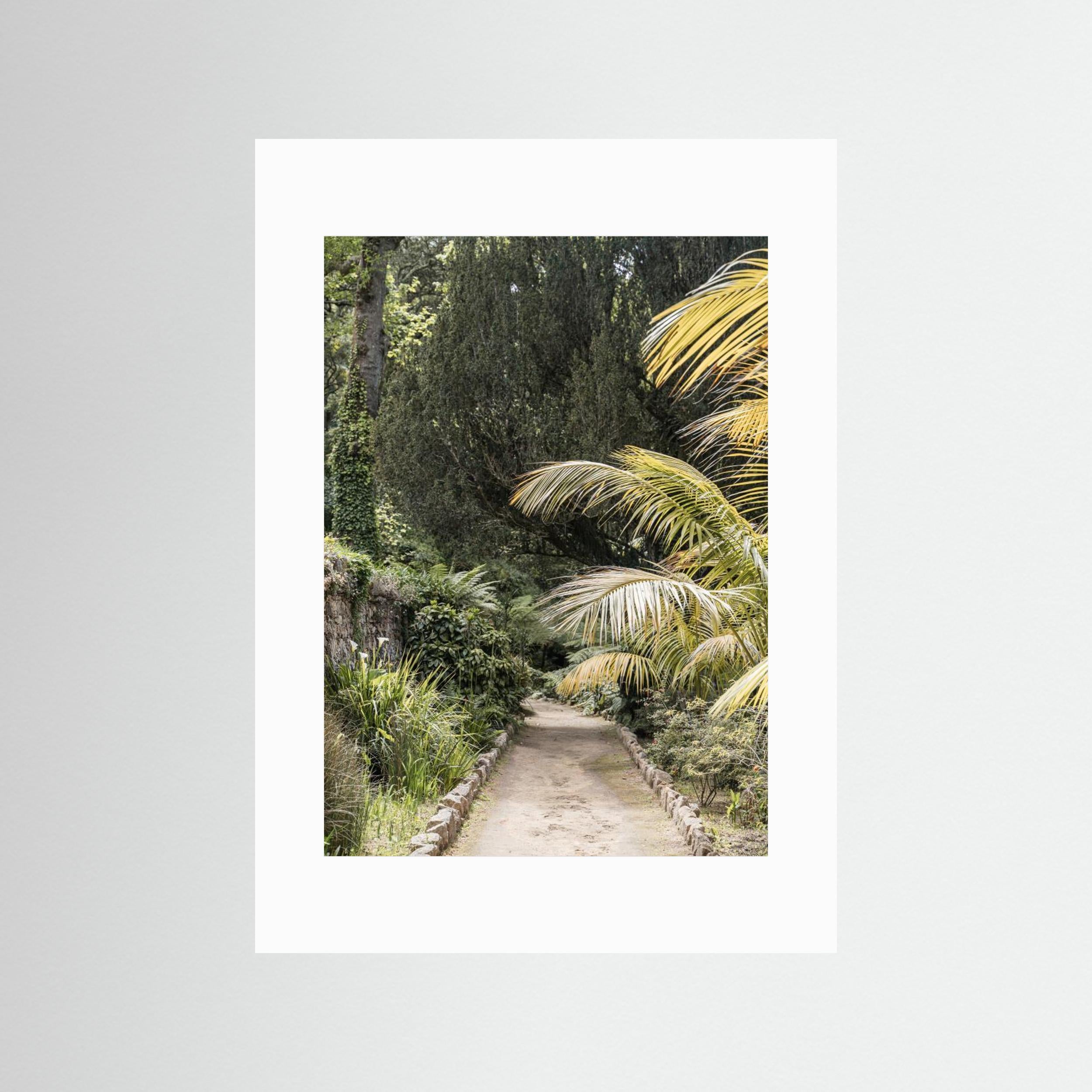 Tropical Walk by Henrike Schenk