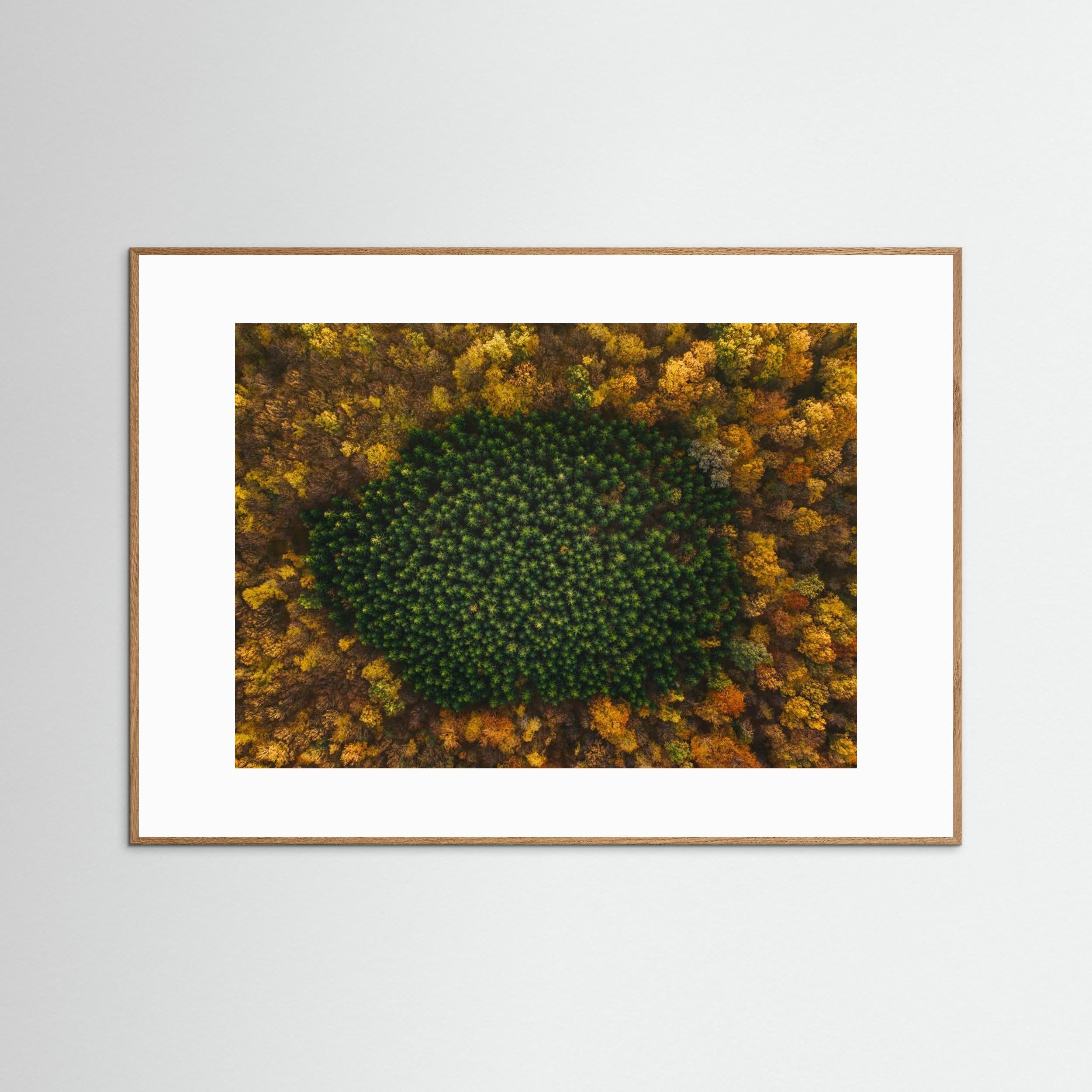 Nature by Angyalosi Beáta