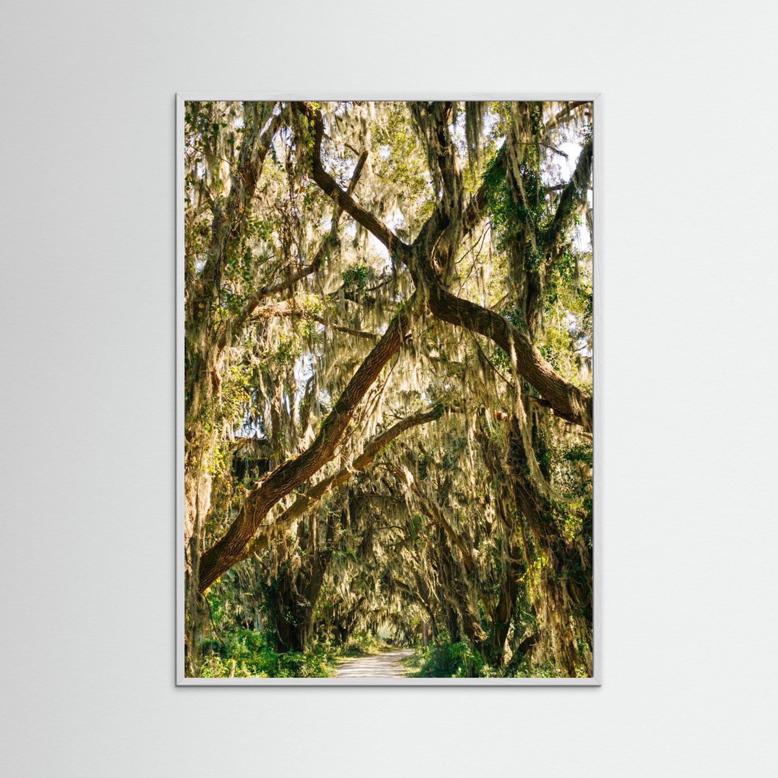 Savannah National Wildlife Refuge VII by Bethany Young