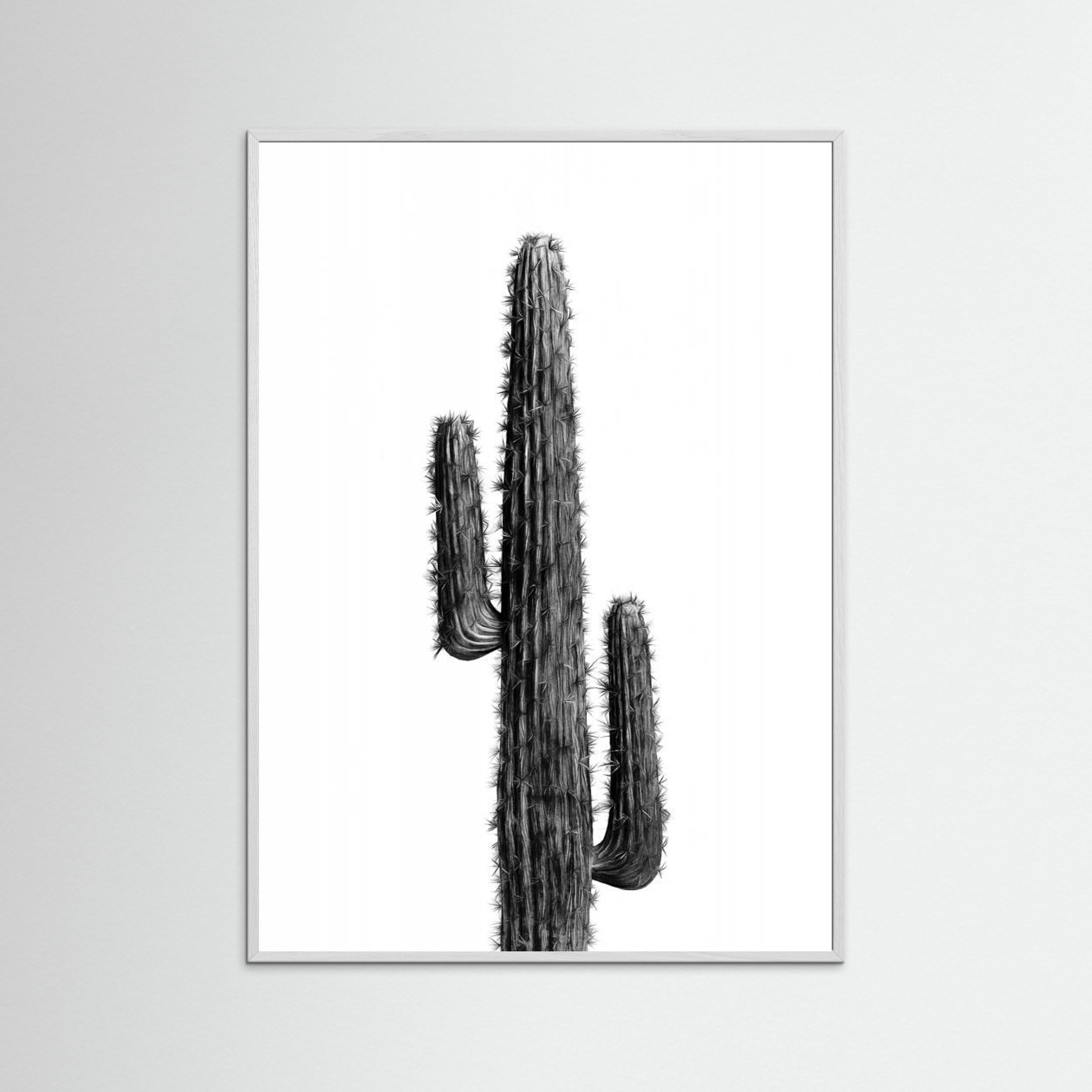 Cactus Black and White 01 by Amini54