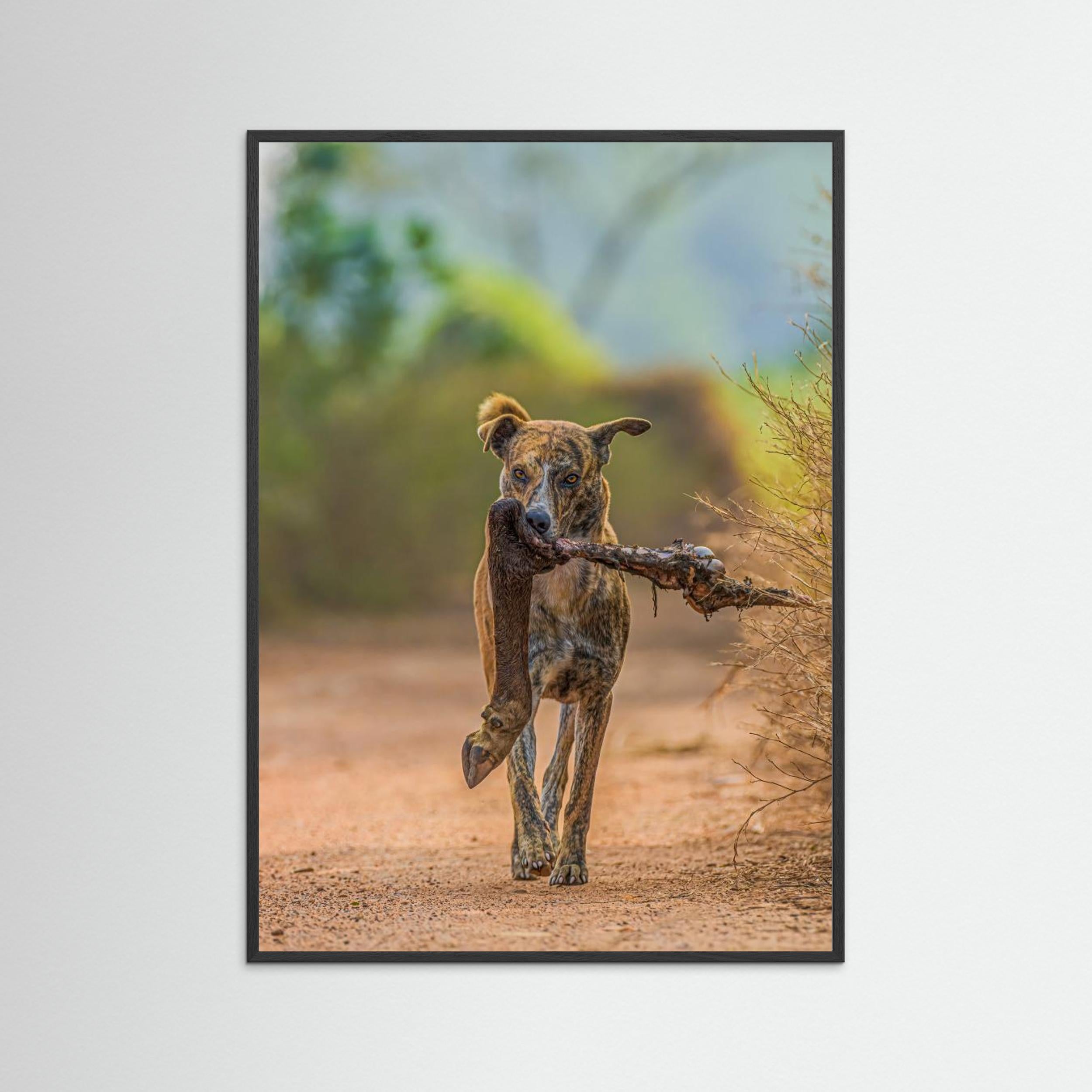 Party with leg piece by Susavan Aditya