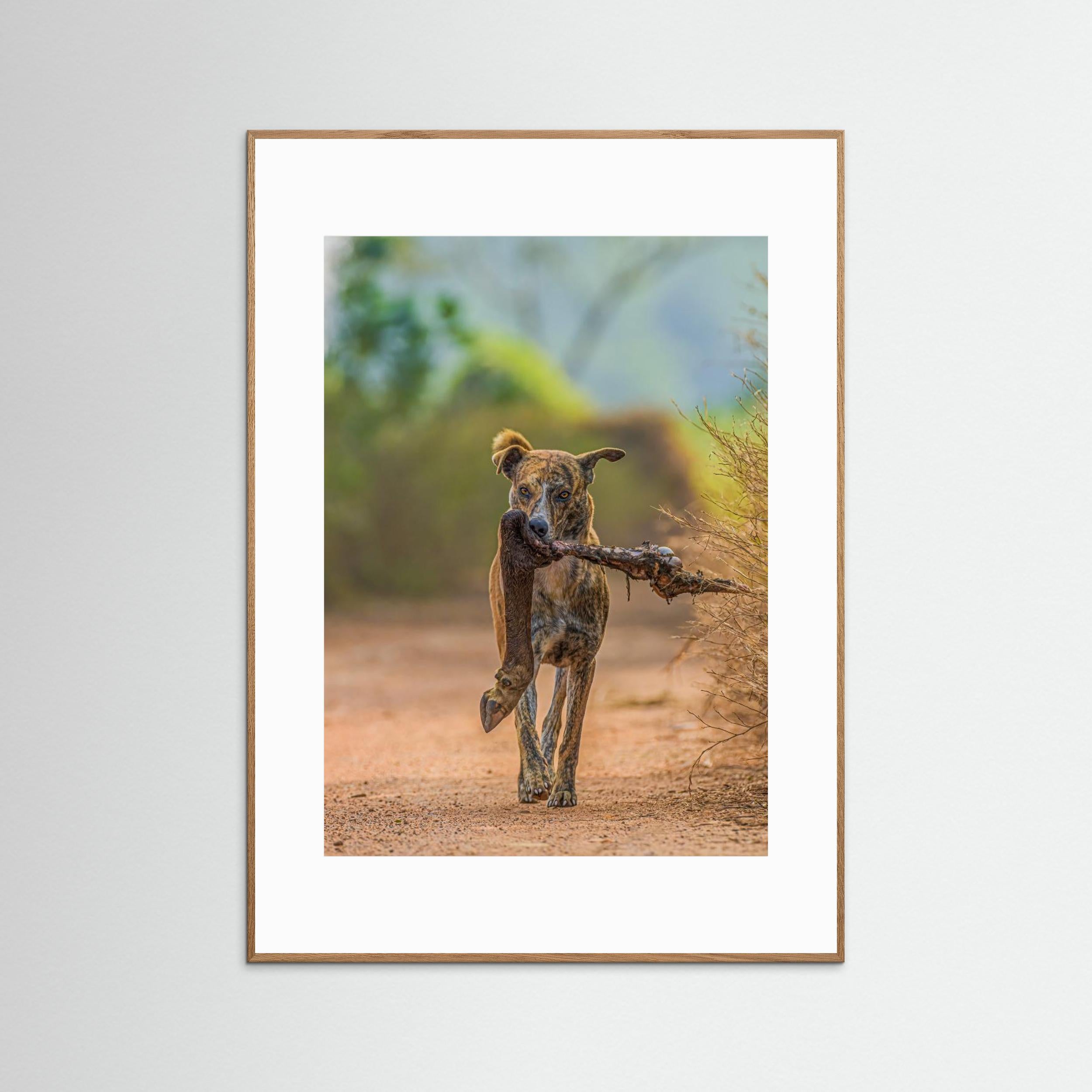 Party with leg piece by Susavan Aditya