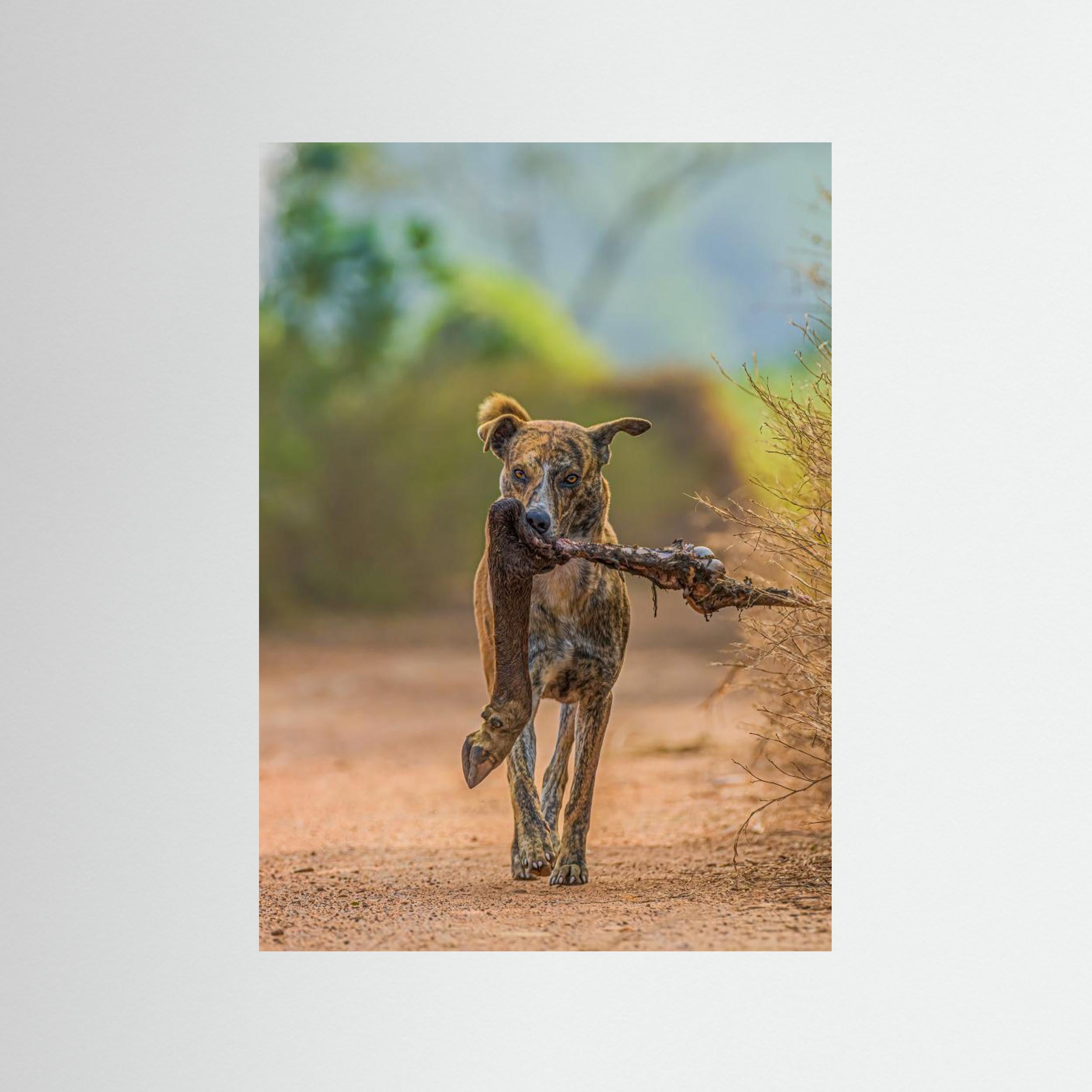 Party with leg piece by Susavan Aditya