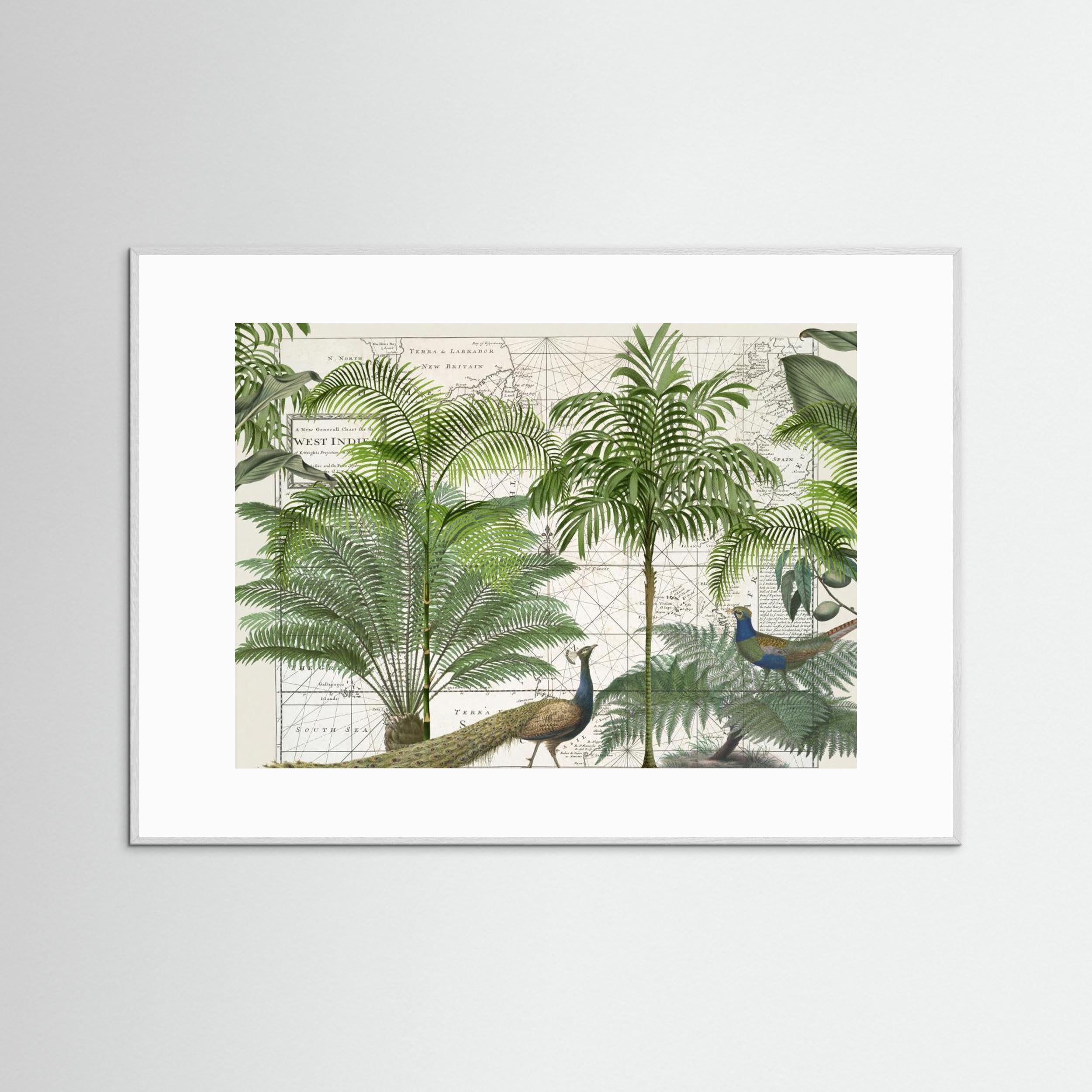 Tropical Empire No6 by Andrea Haase