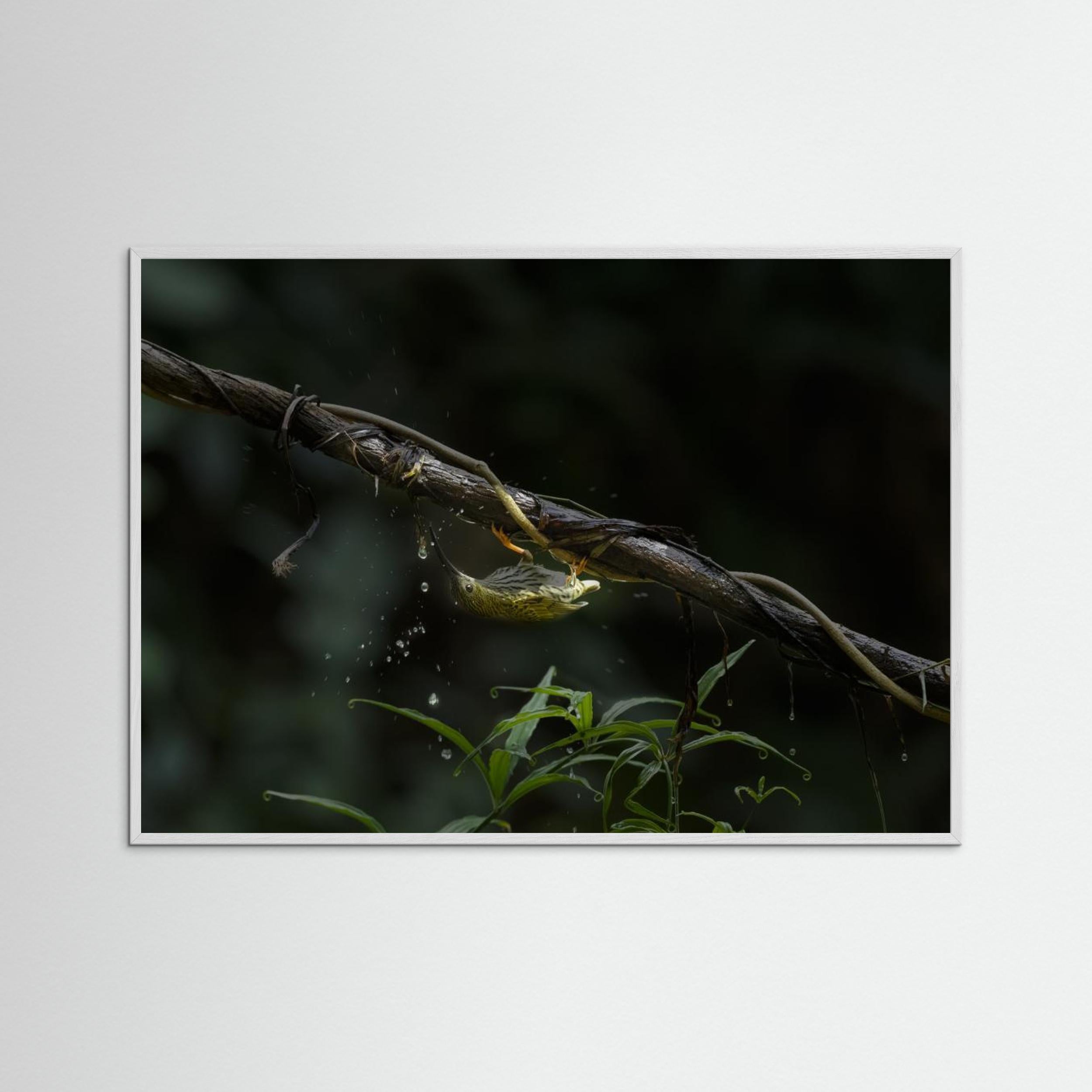 The Water Sipper by Chiranjib Chakraborty