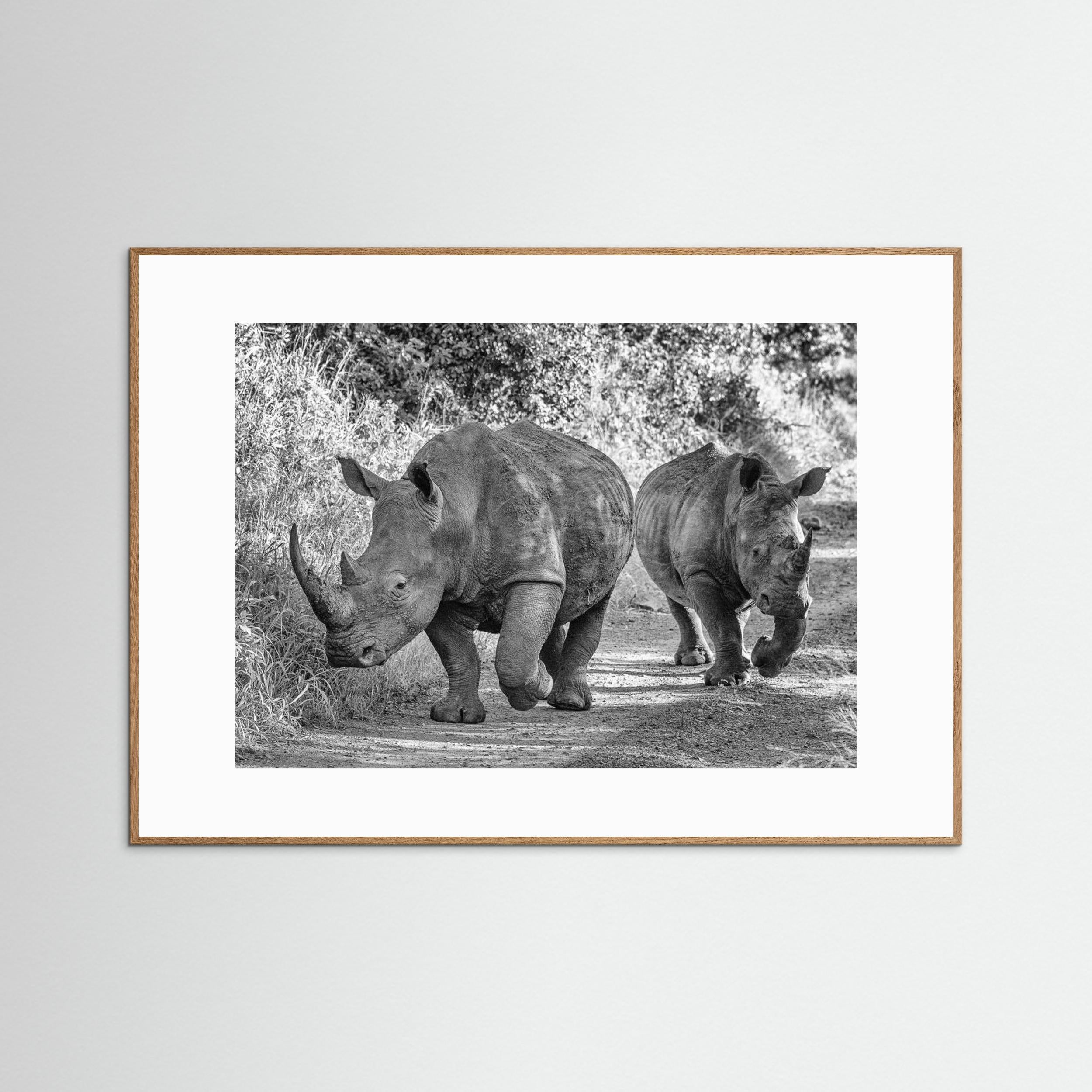 The two rhinos - Wildlife III by Regine Richter