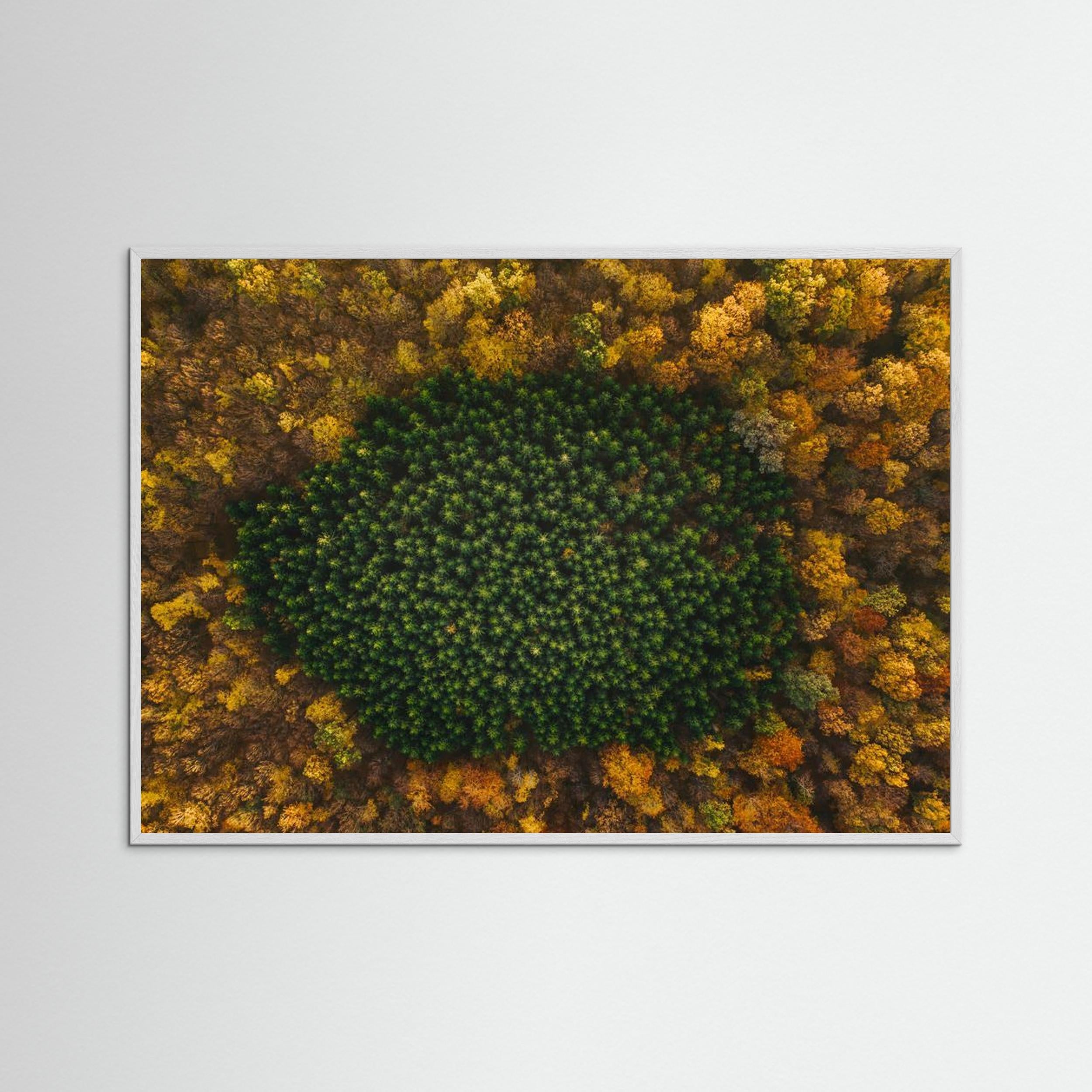 Nature by Angyalosi Beáta