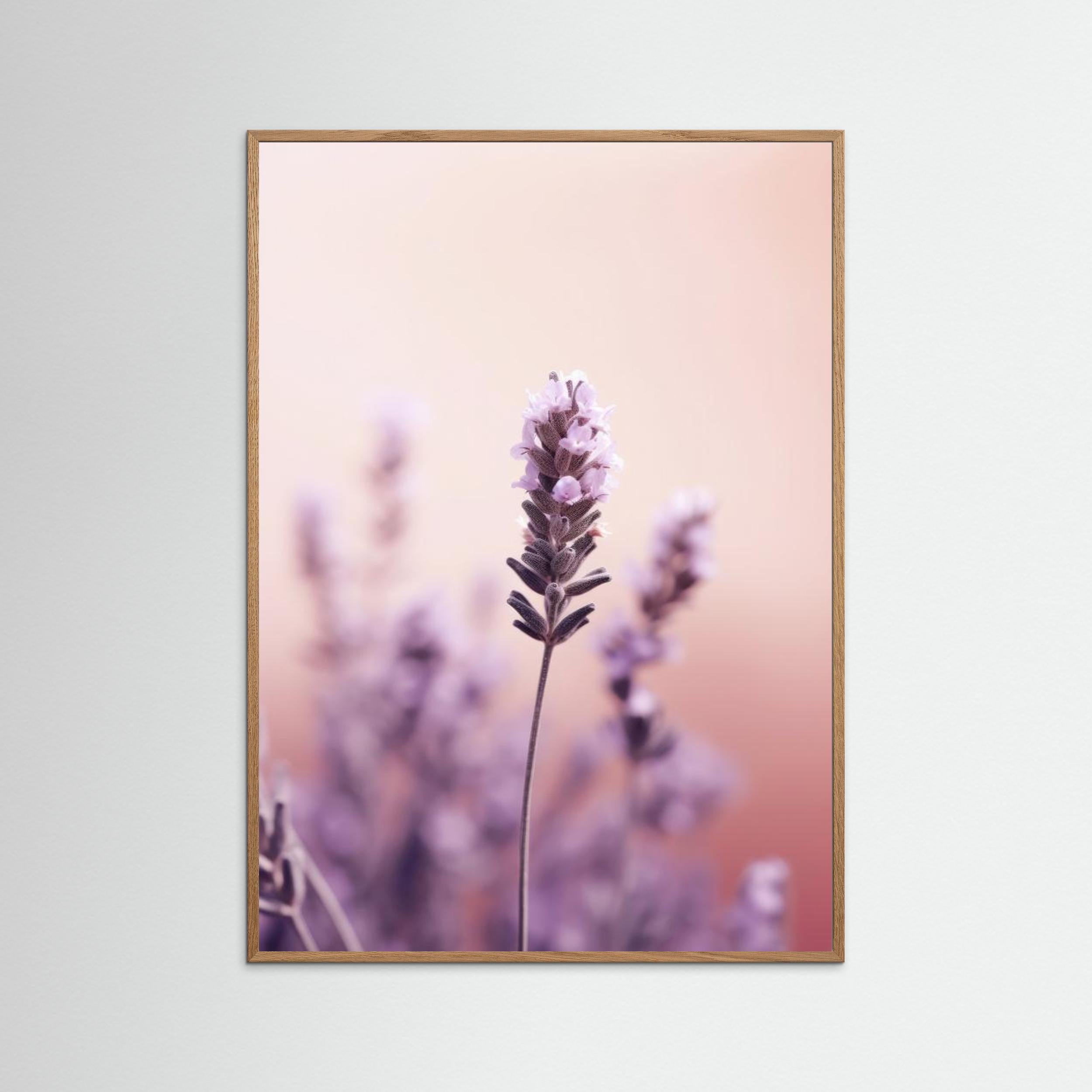 Lavender Detail by Treechild